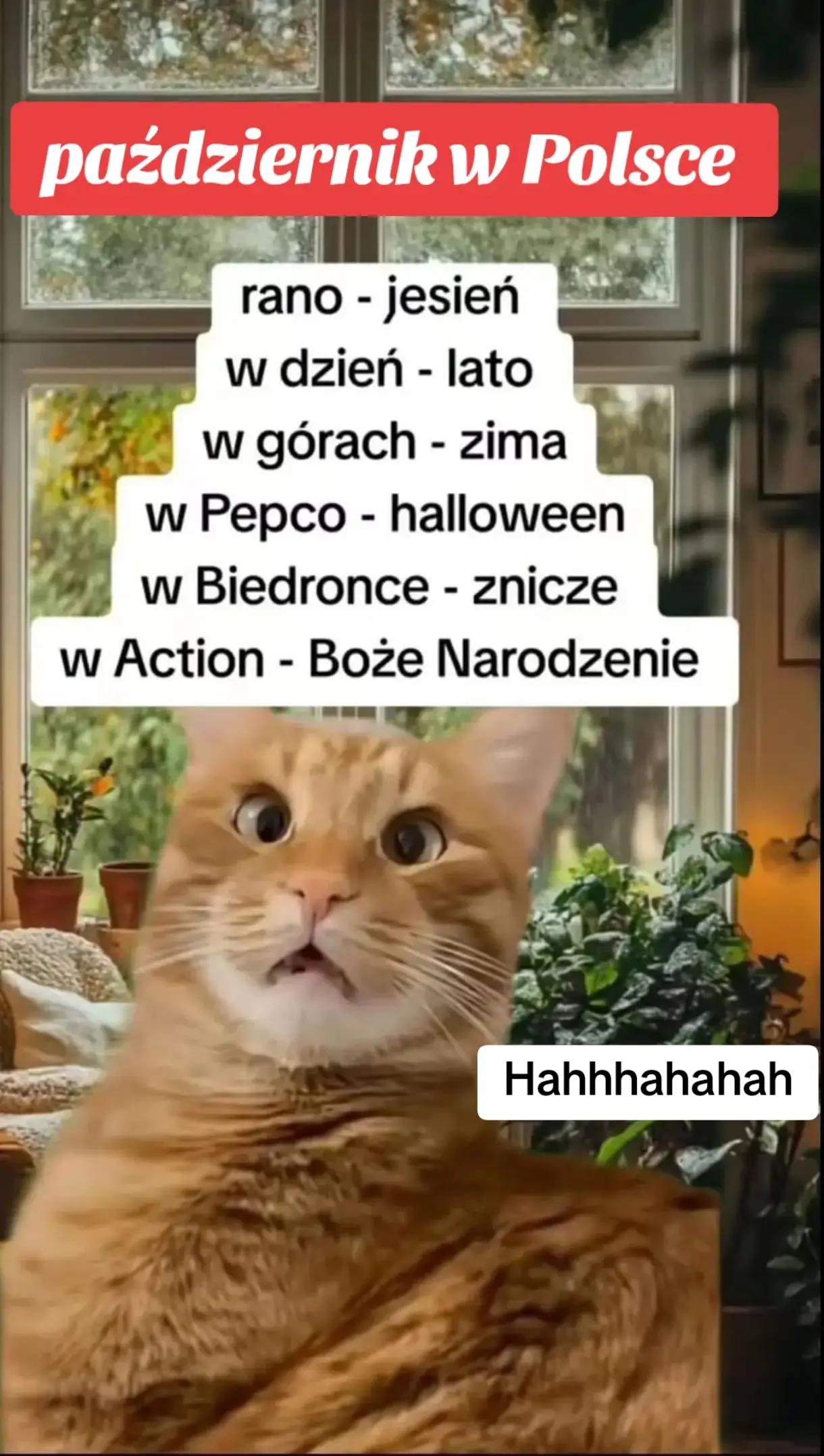 @Iwona Lewandowska