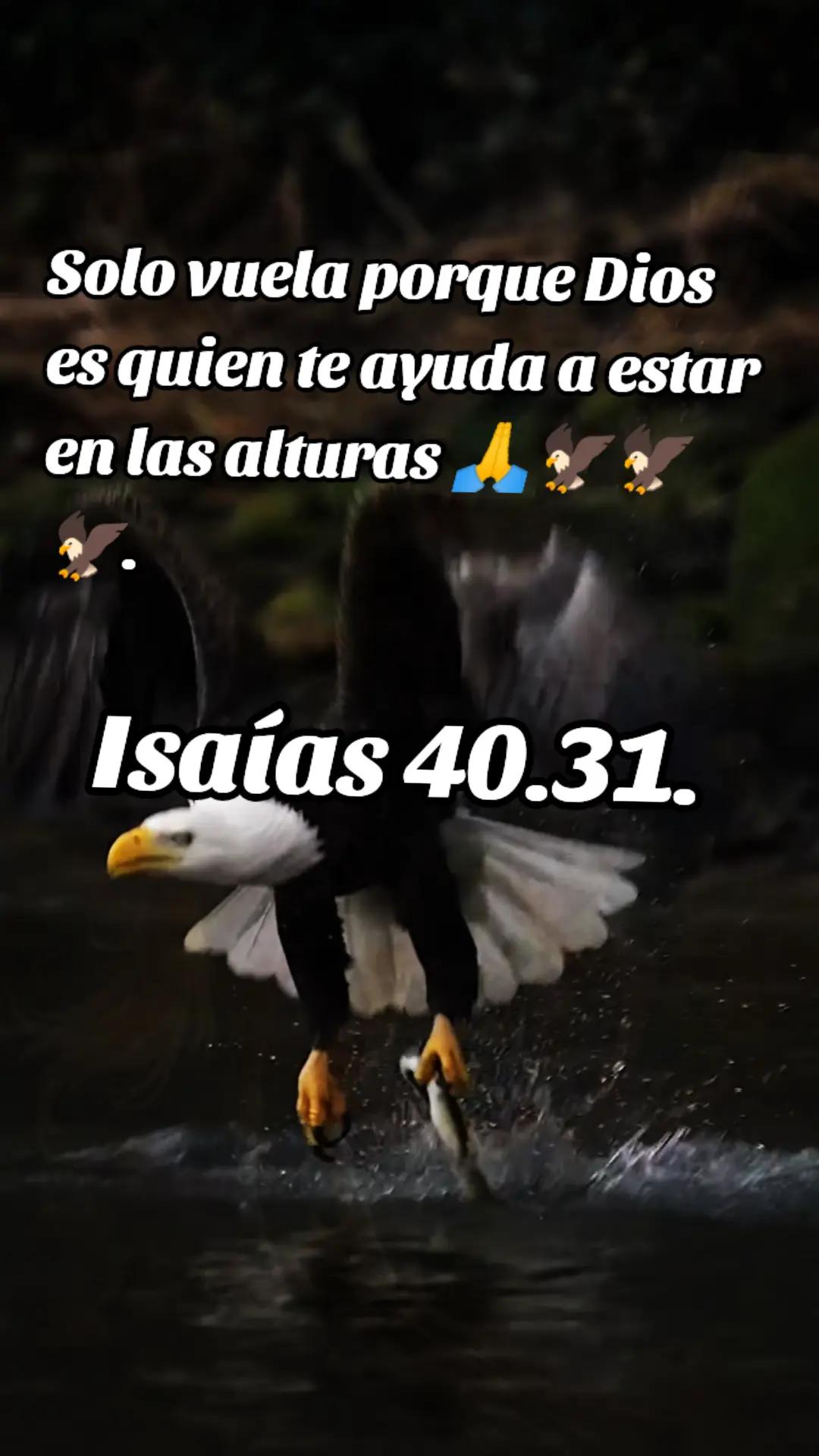 @HIJA DE ADONAY🕊️ AABB PADRE