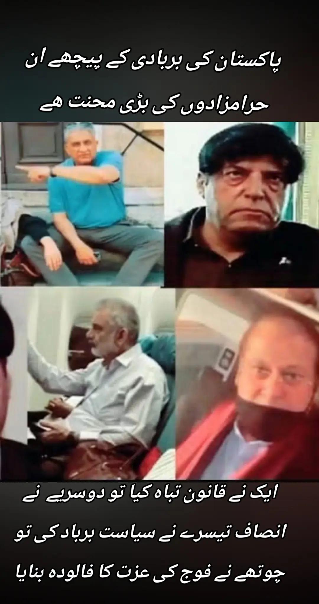 @اڈیالہ 804