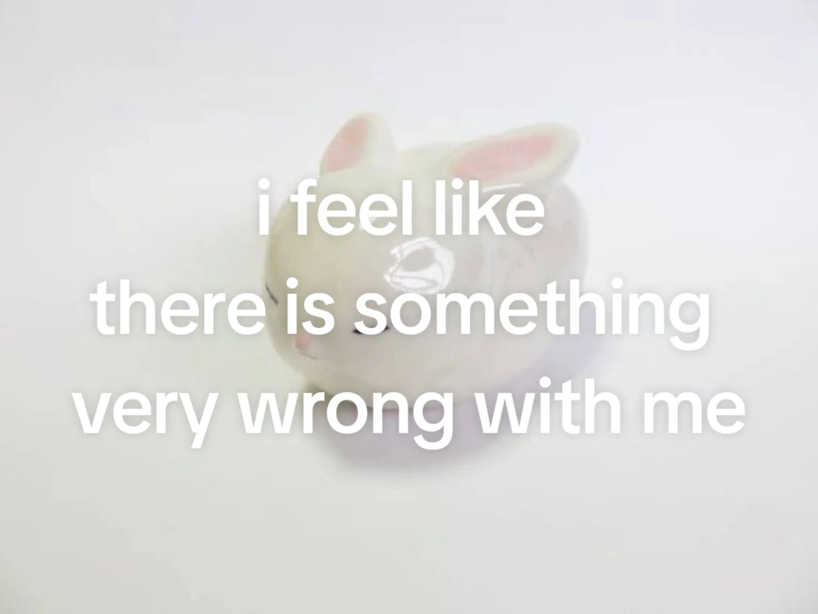 @bunny