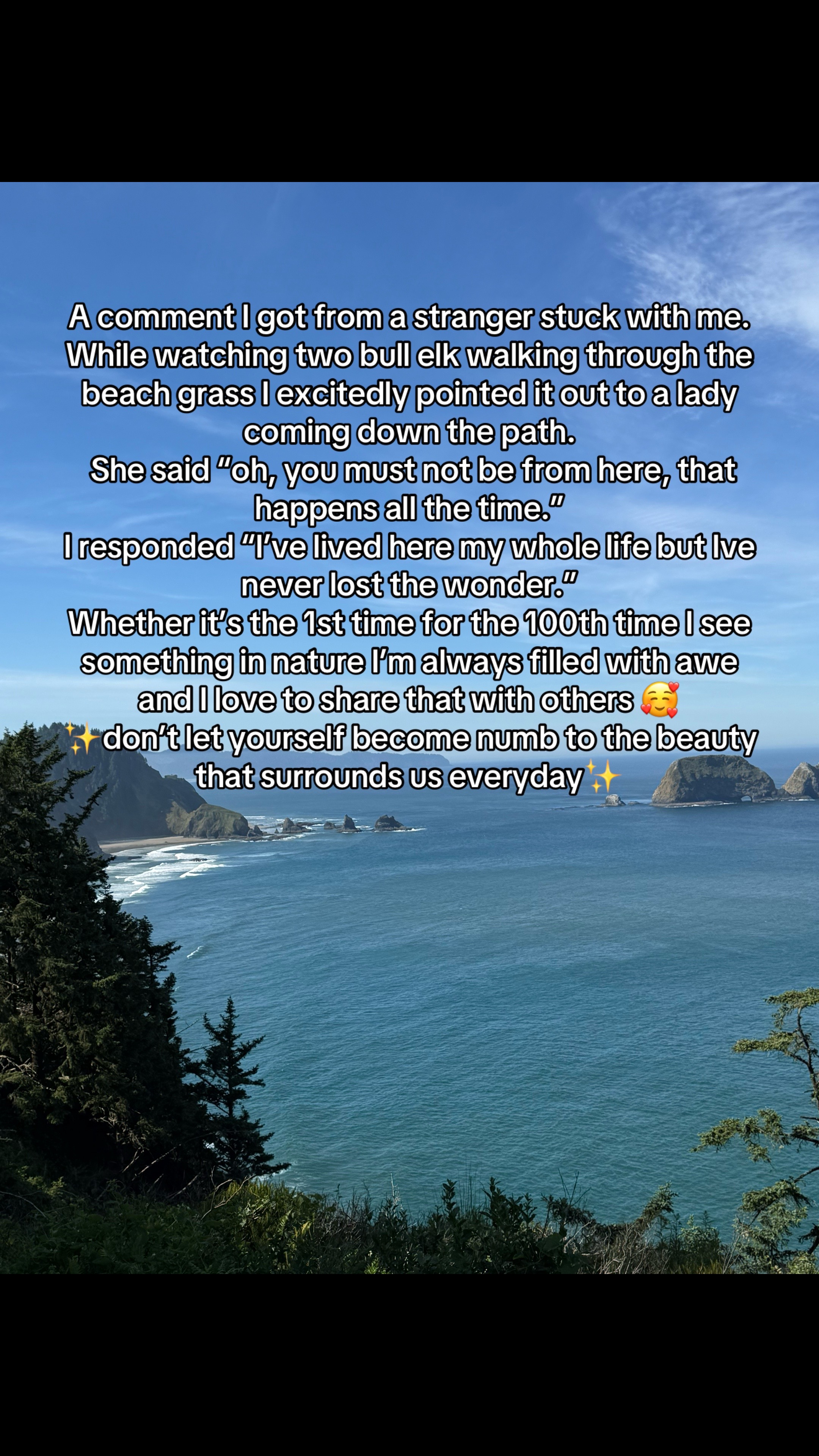 @PNWJewl❤️🔒🚒🗝️