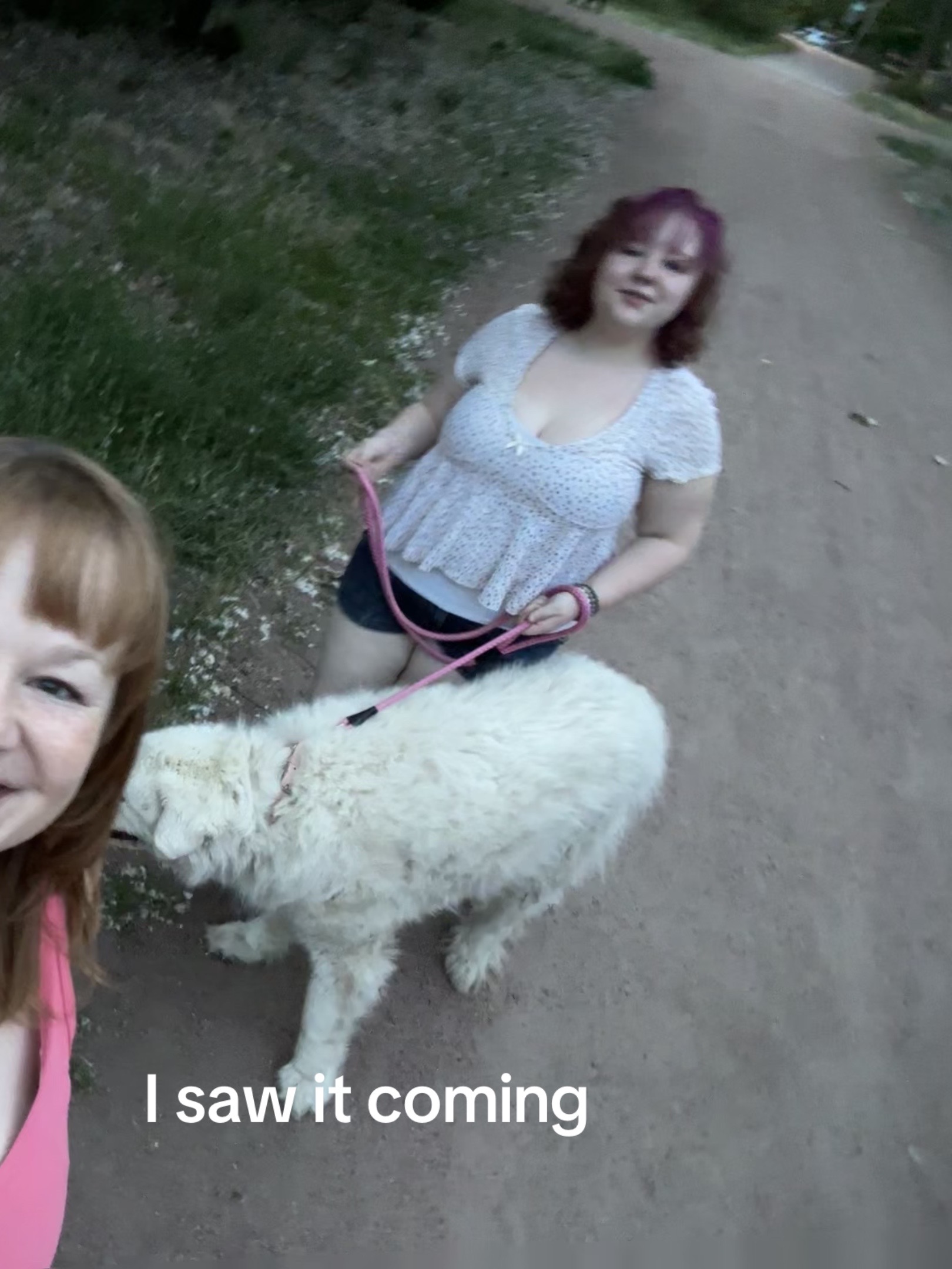 @🐩
