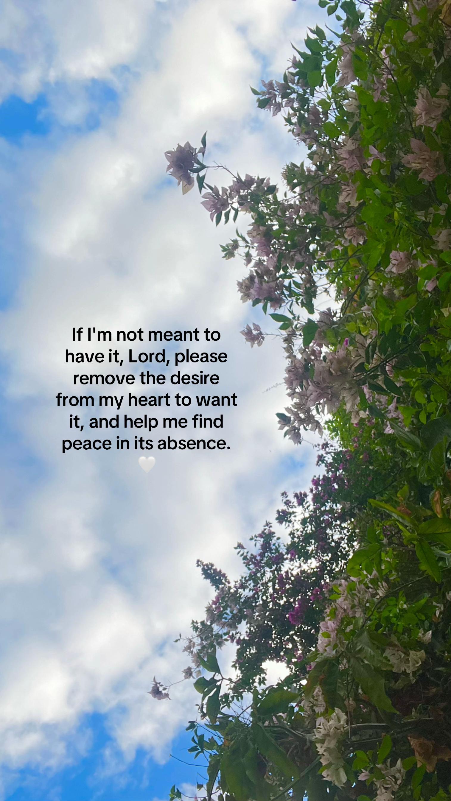@m.a🌻