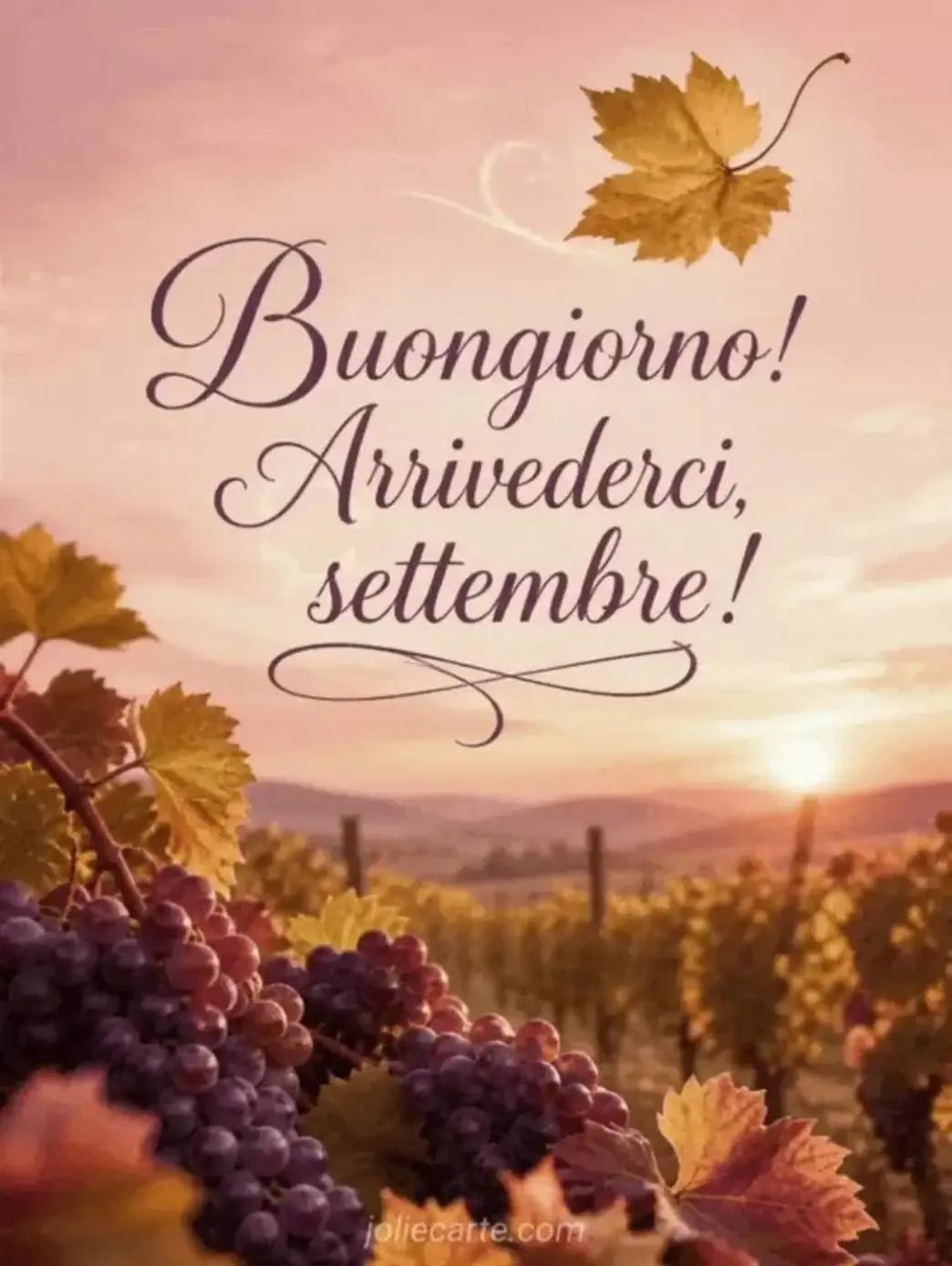 @Francesca Mancuso
