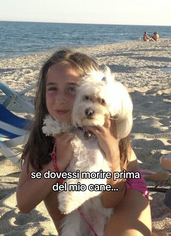 @ramonsss