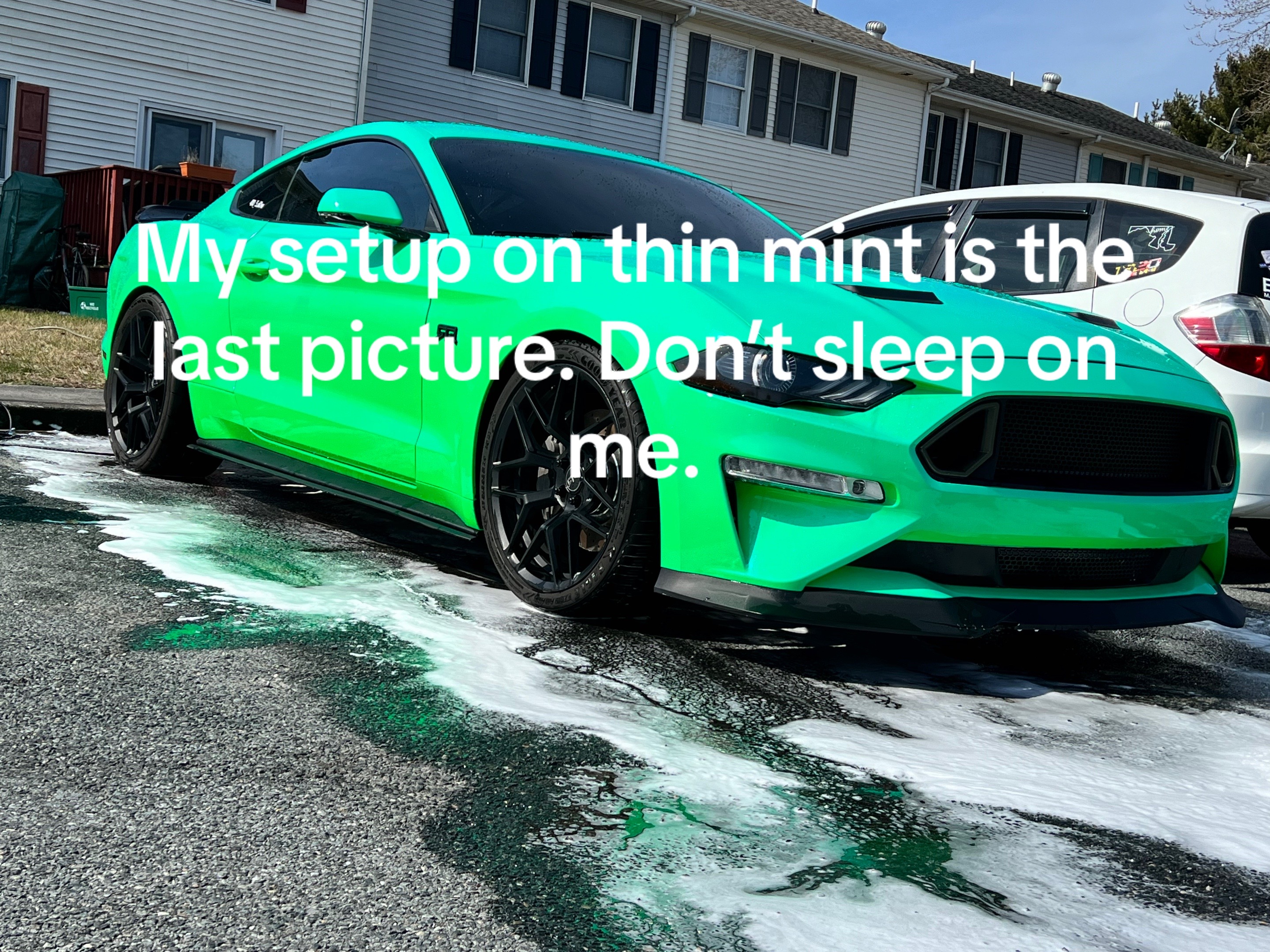@fear_toothless