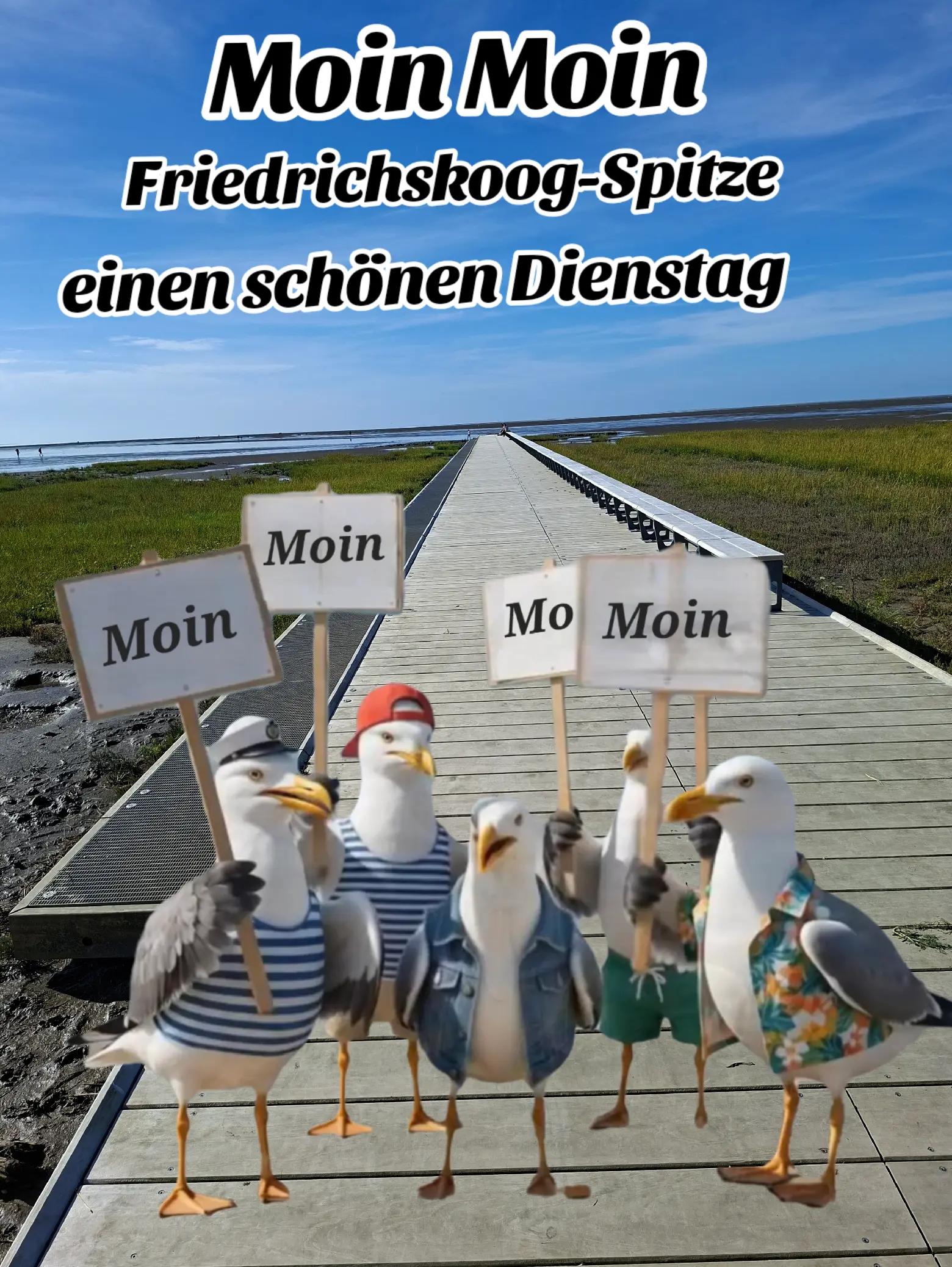 @geistlein12