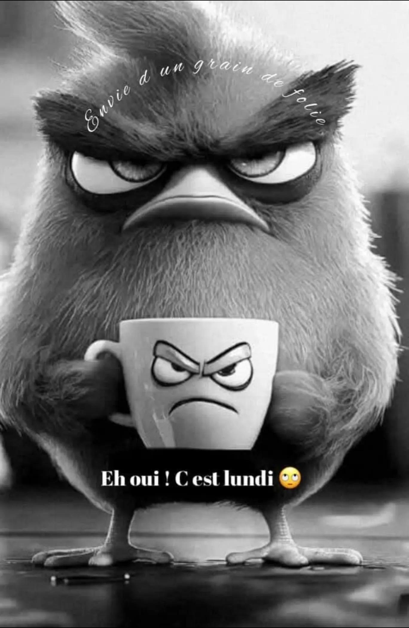 @🕊angel666