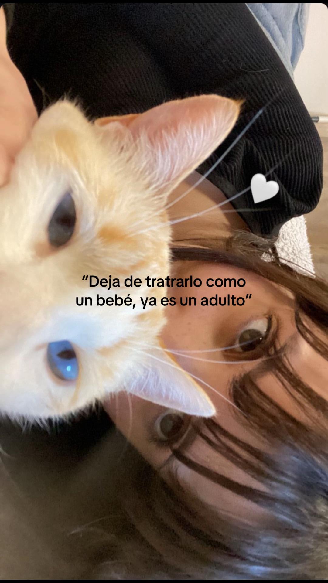 @Ali🍒