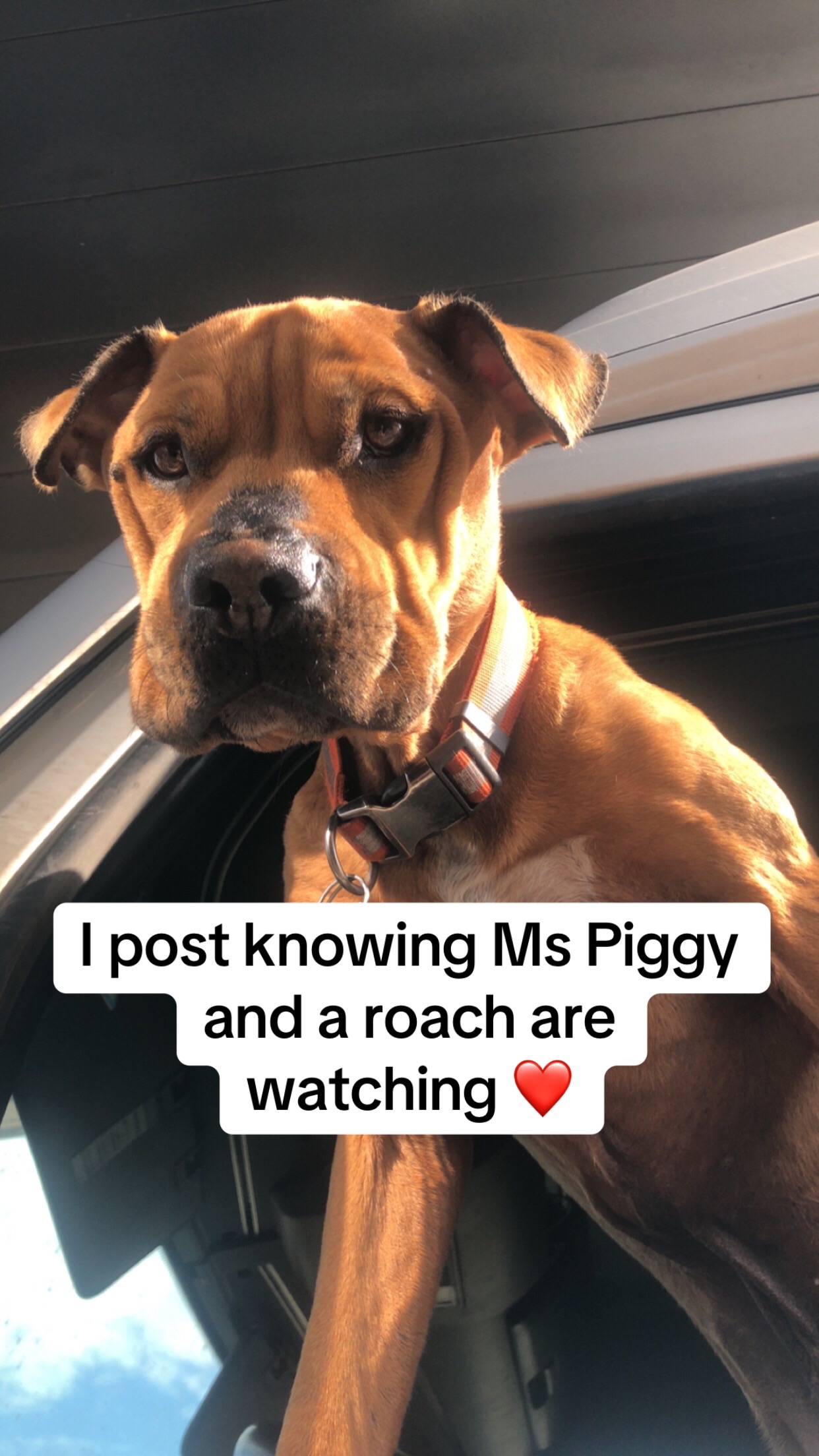 @SlurrpyFurrBurger🖕🫵