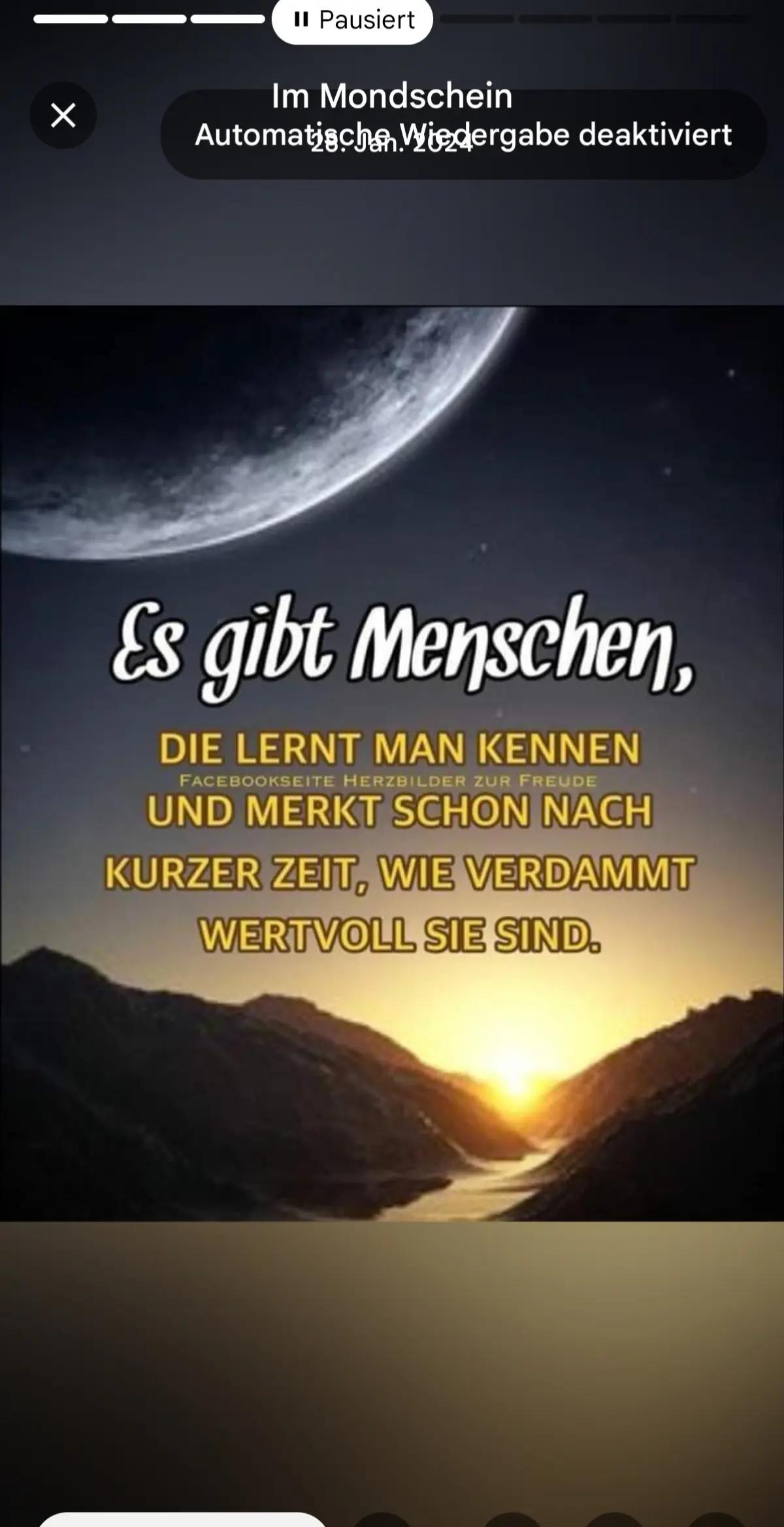 @Kati Maus