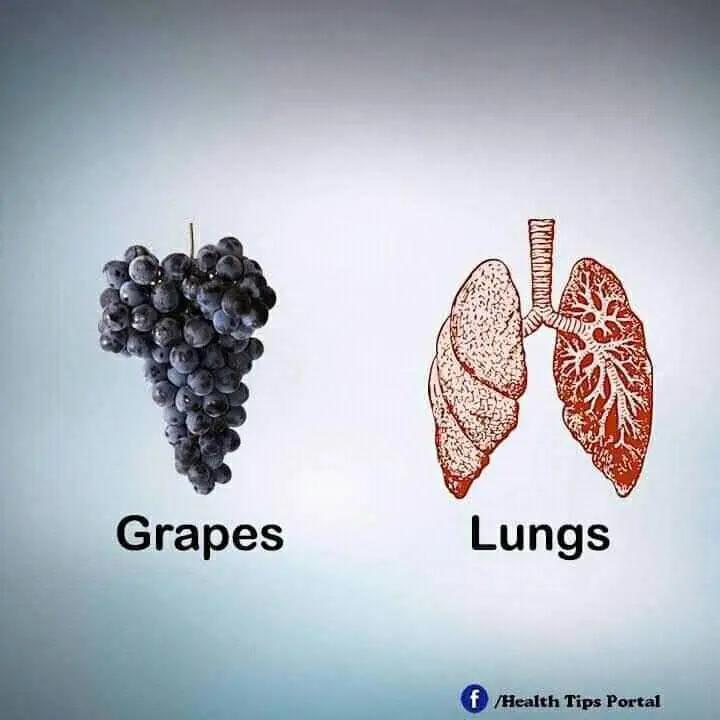 @despierta tu conciencia
