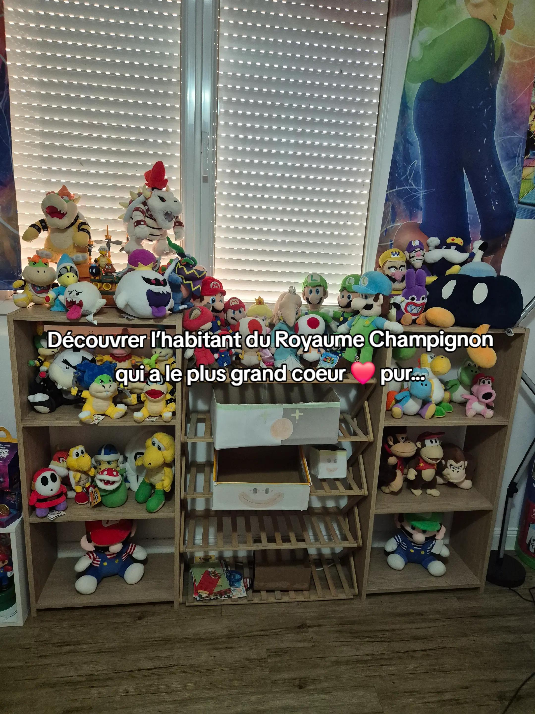 @peluchemario64