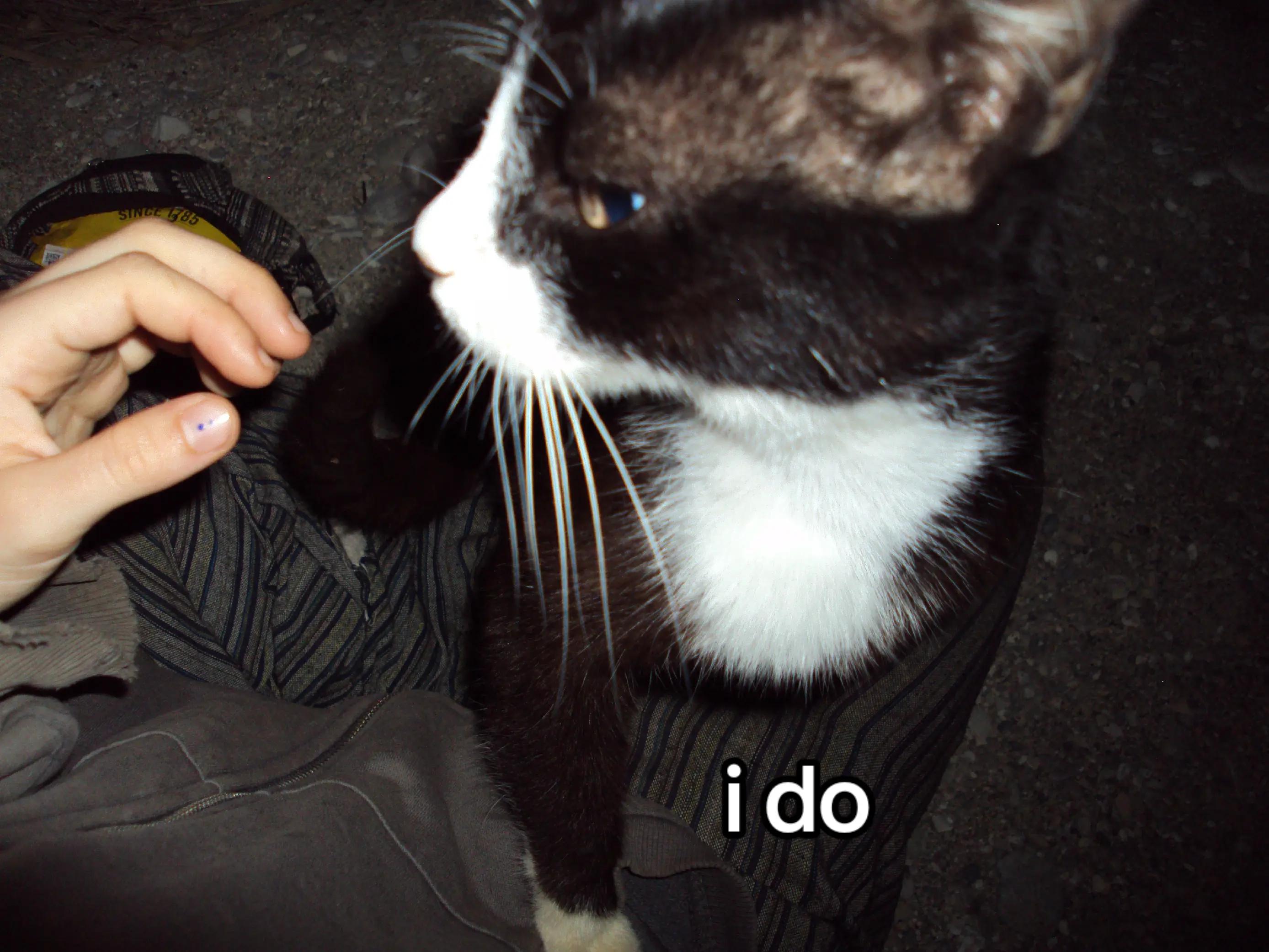 @ash :3