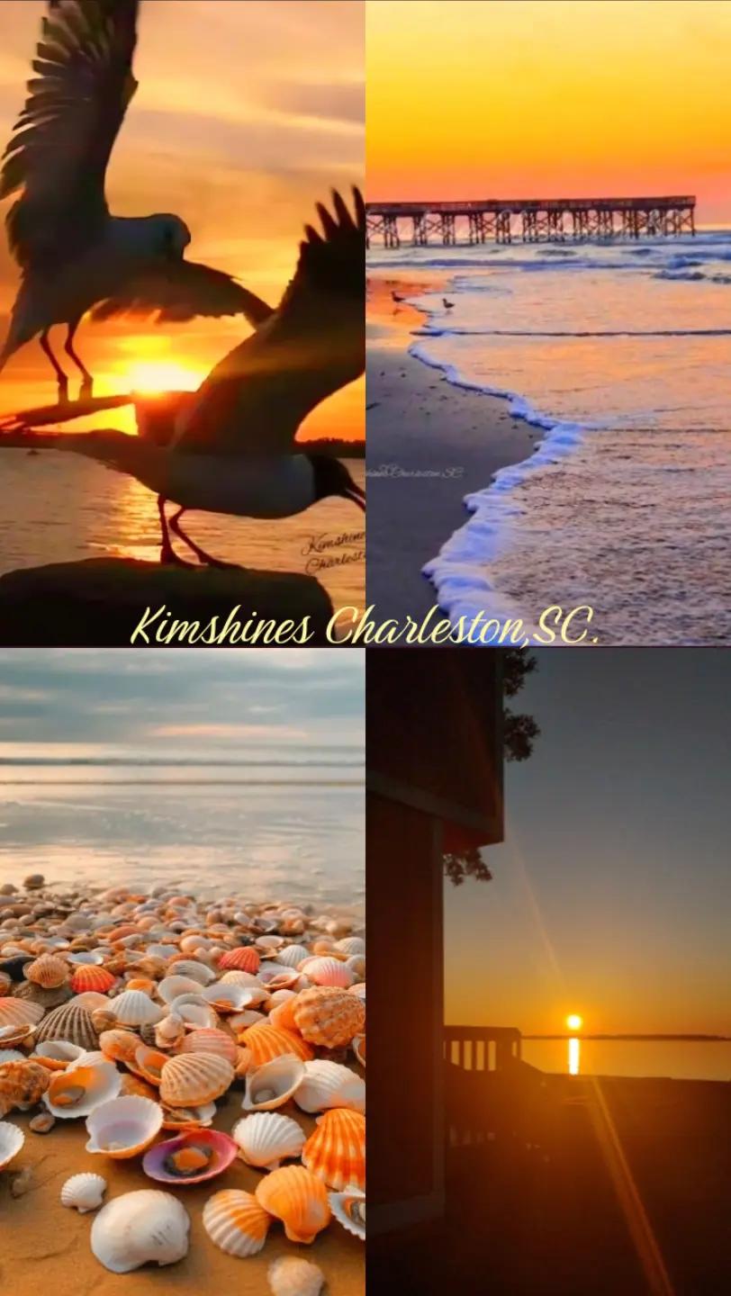 @Kimberly Martin182
