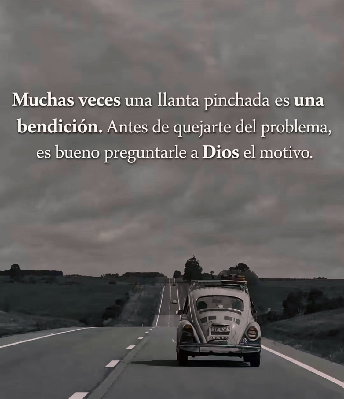 @🌹✨YIO✨👨&zwj;🍳❤️&zwj;🔥