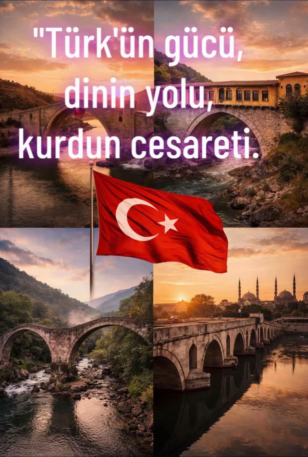 @dilavereryilmaz