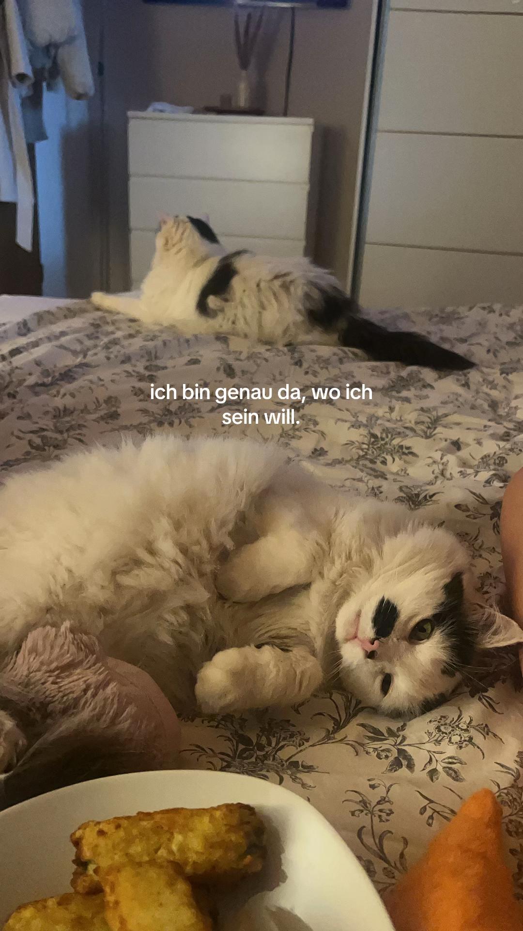 @Emi🤍🐭