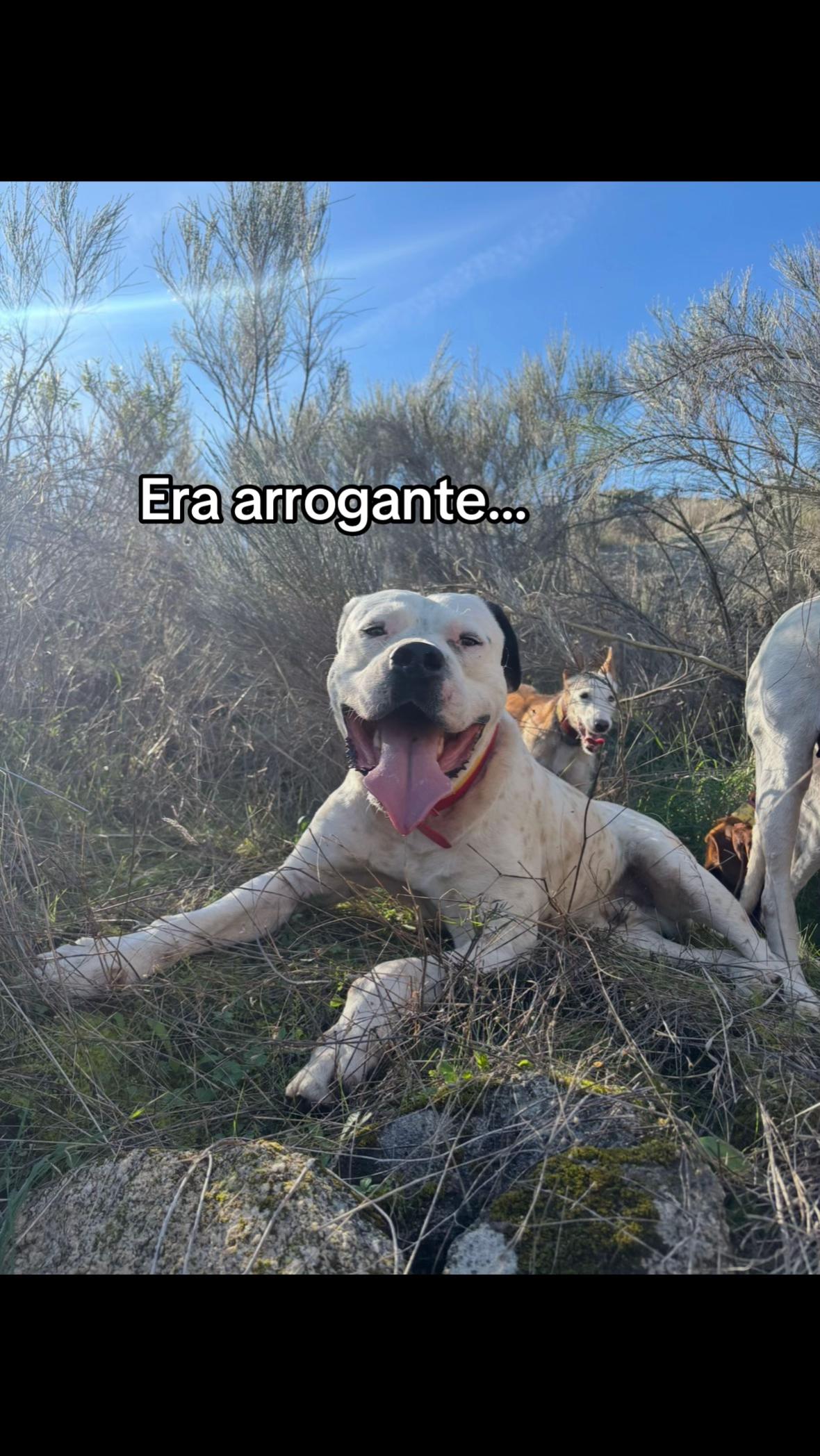 @Mariana Morgado Hunting