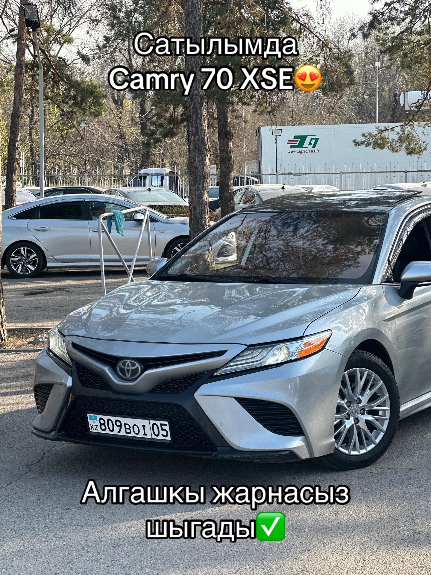 @bay_cars