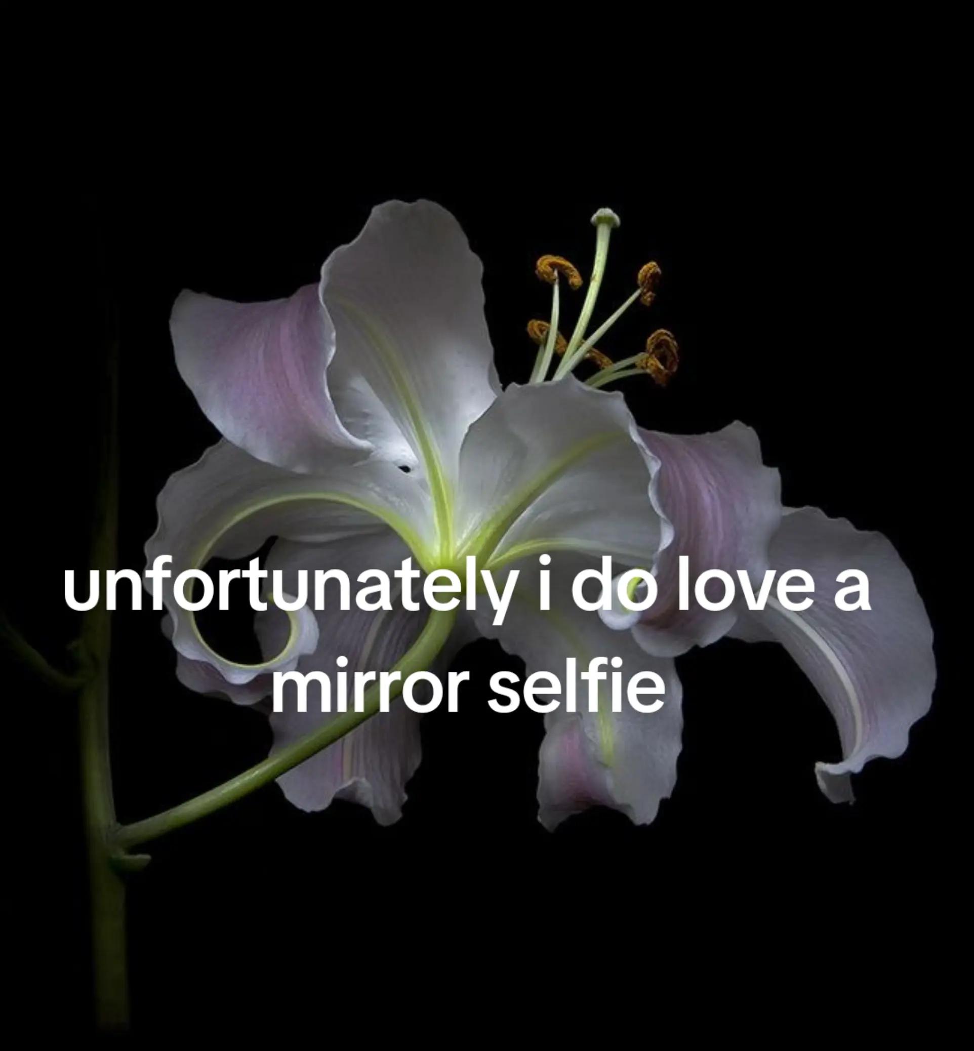 @𝓣𝓸𝓻𝓮𝔂