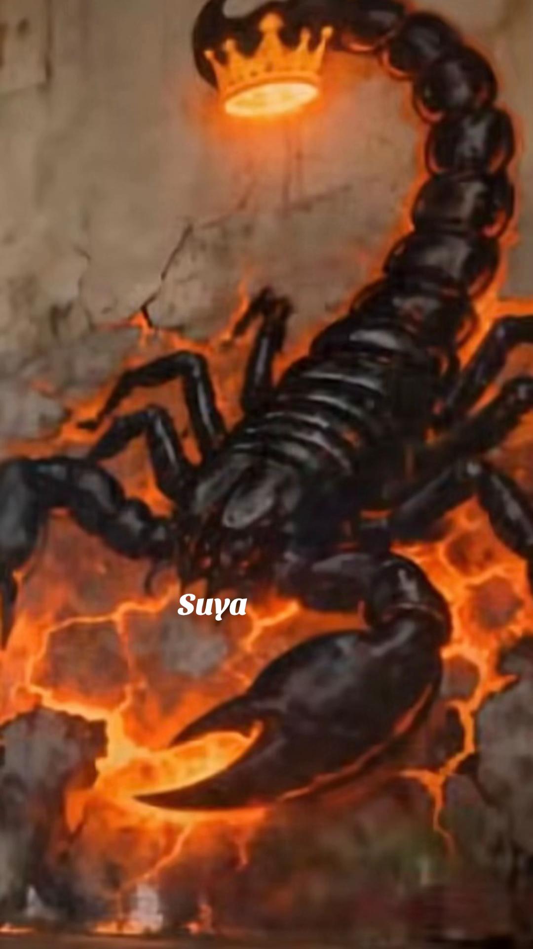 @(SUYA)__🐅🦅🐅🇱🇰🇫🇷❤️