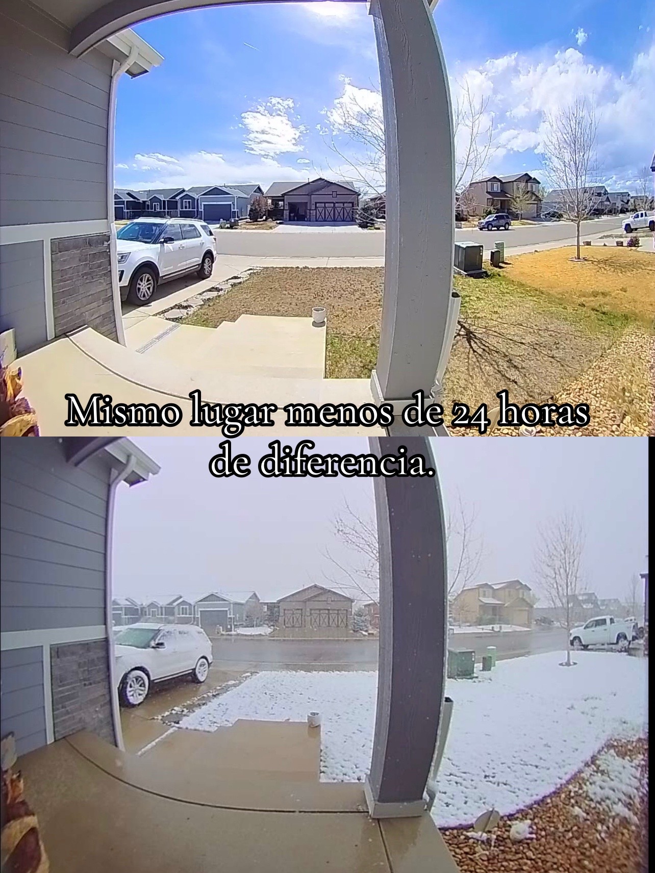 @priscilamoreno569