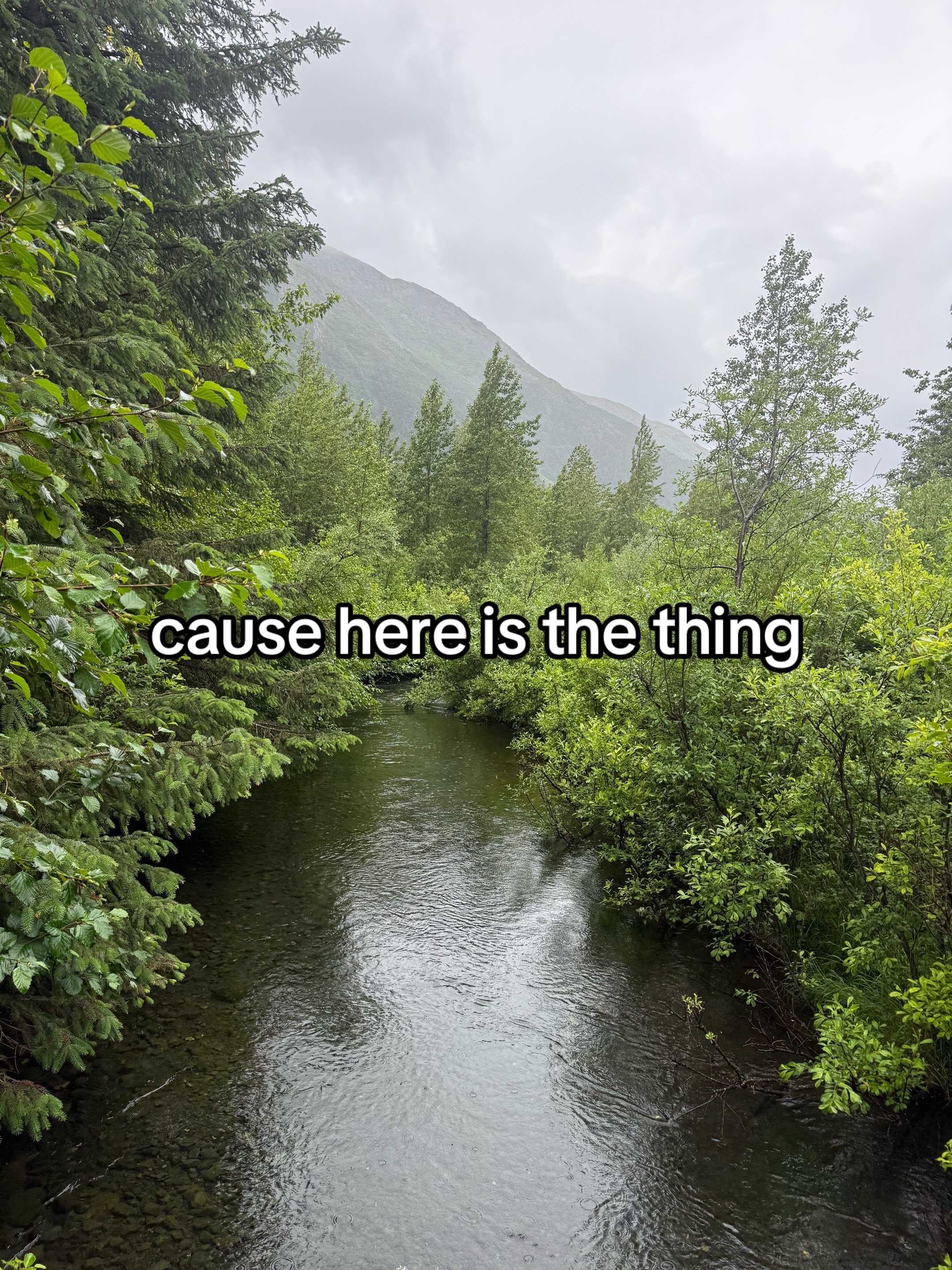 @cam