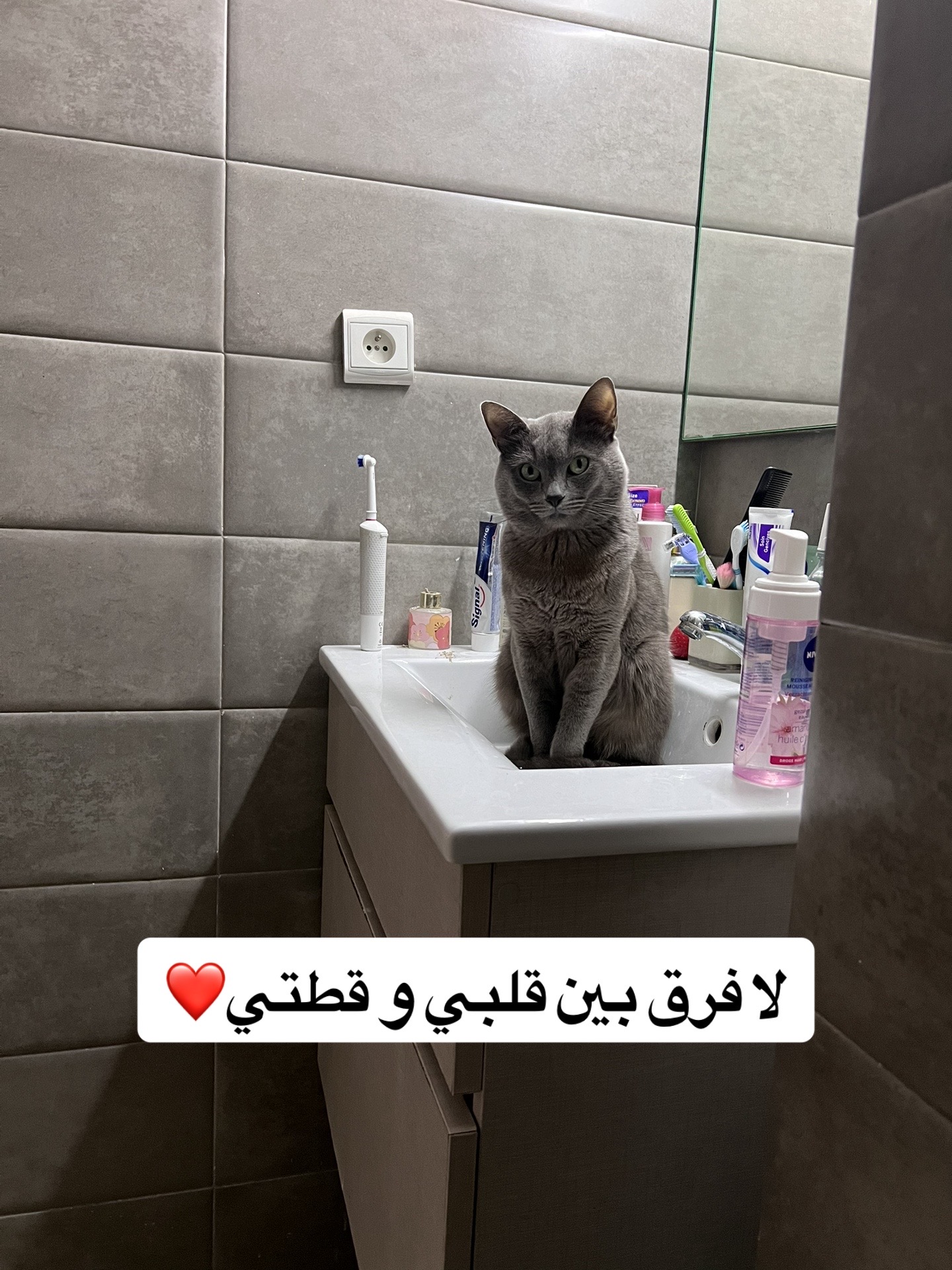 @Wafae_zeng🇨🇳🇲🇦❤️🔥✨✨