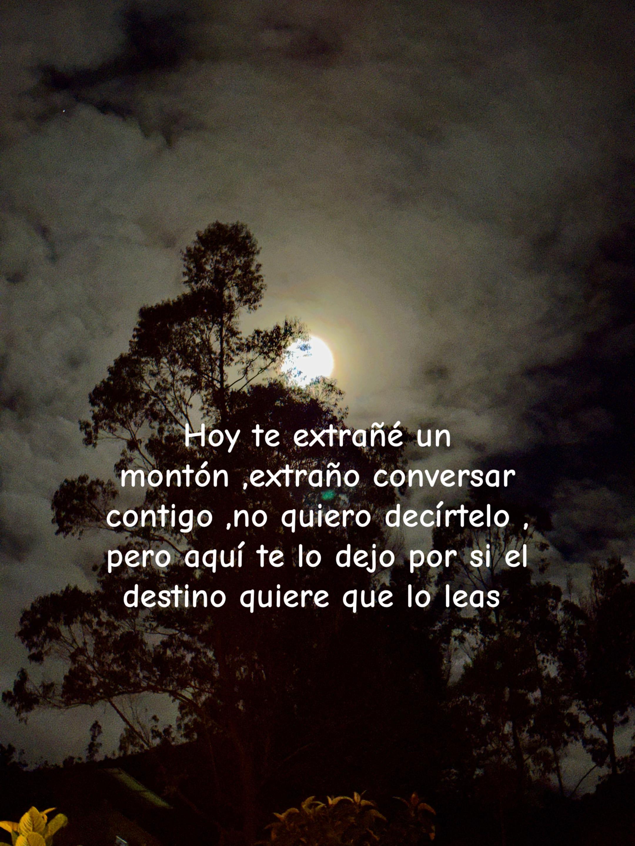 @Fryda Torre