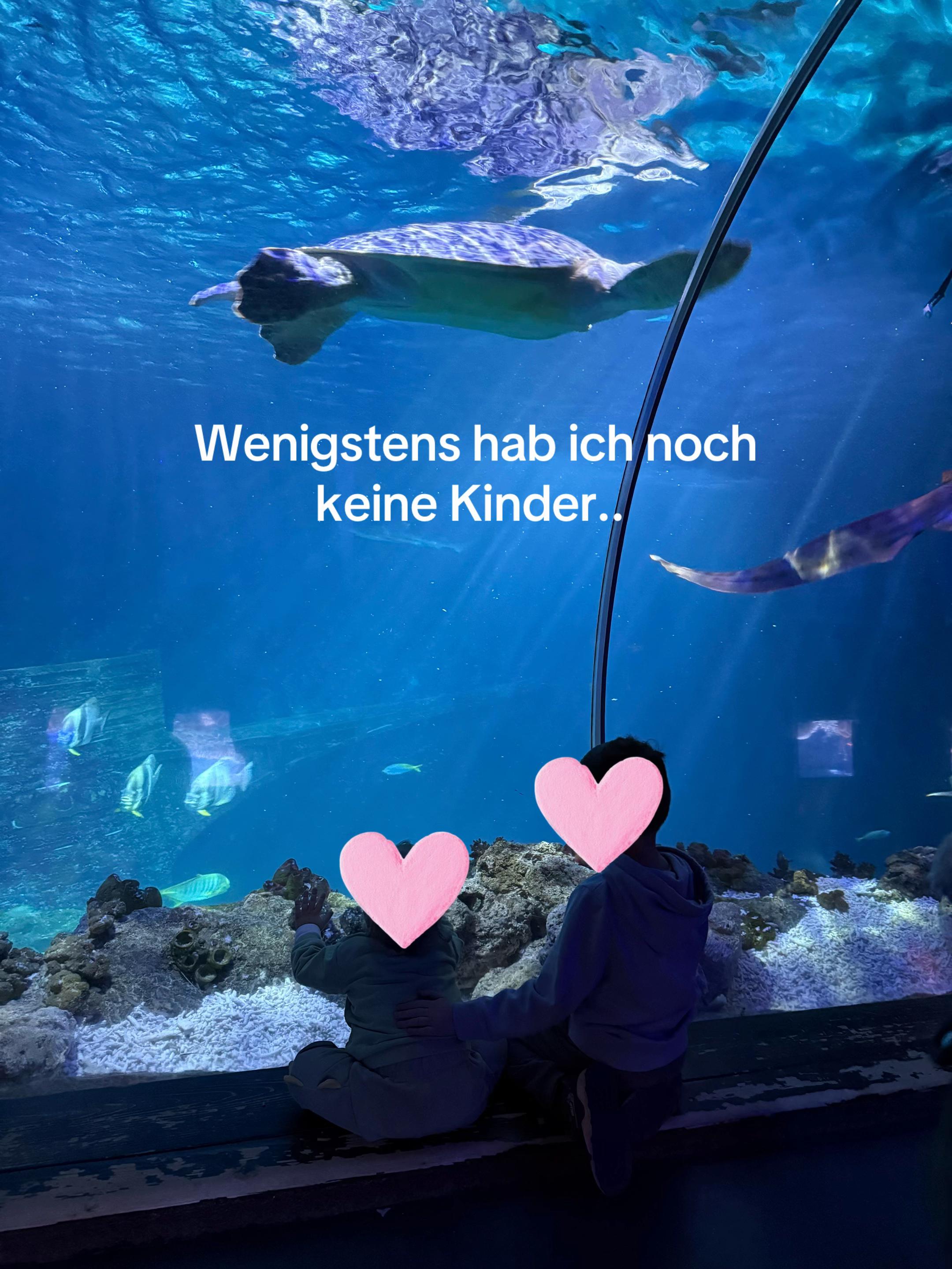 @x_typisch.aline_x