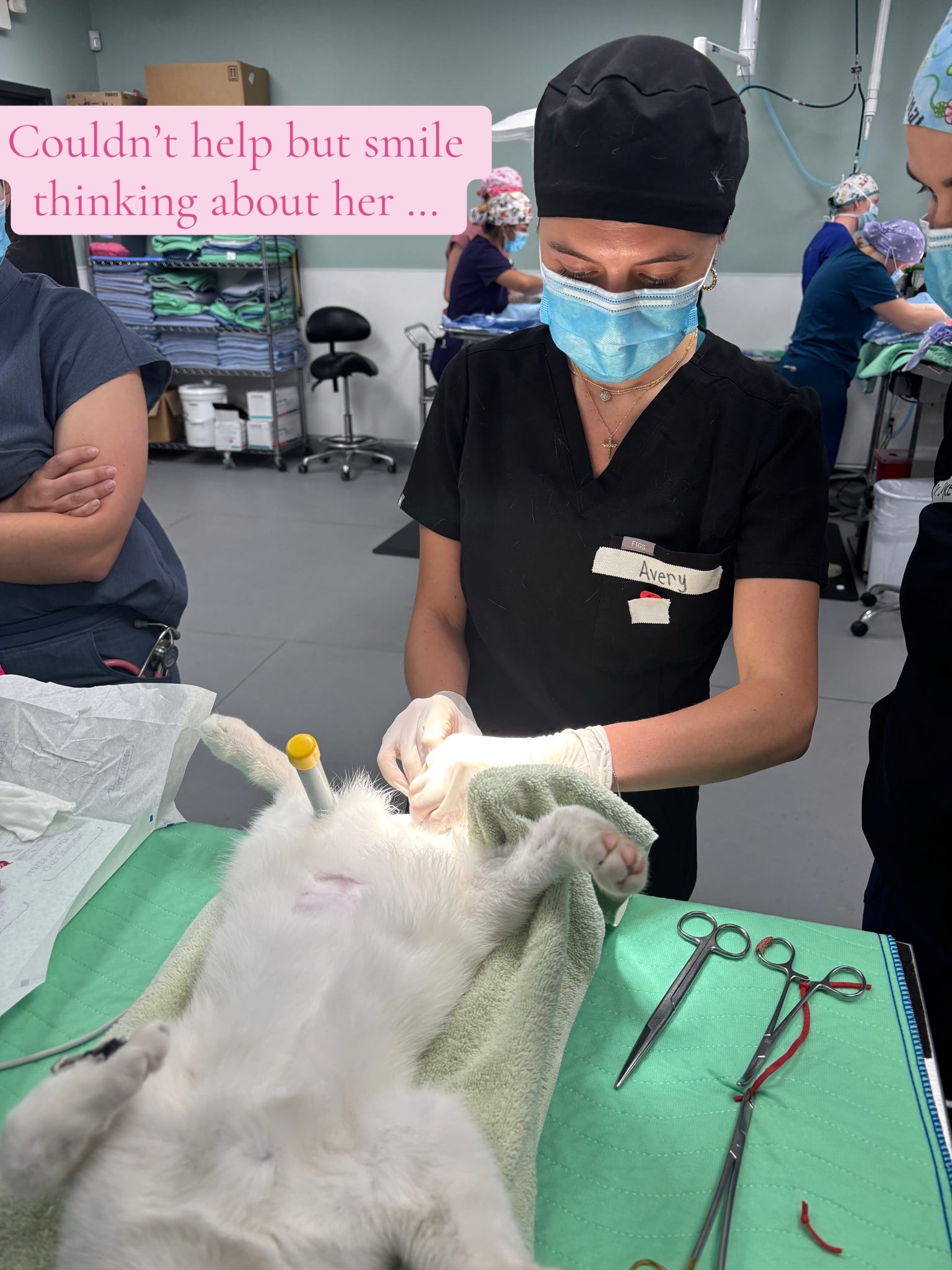@Avery | Vet Student🐾