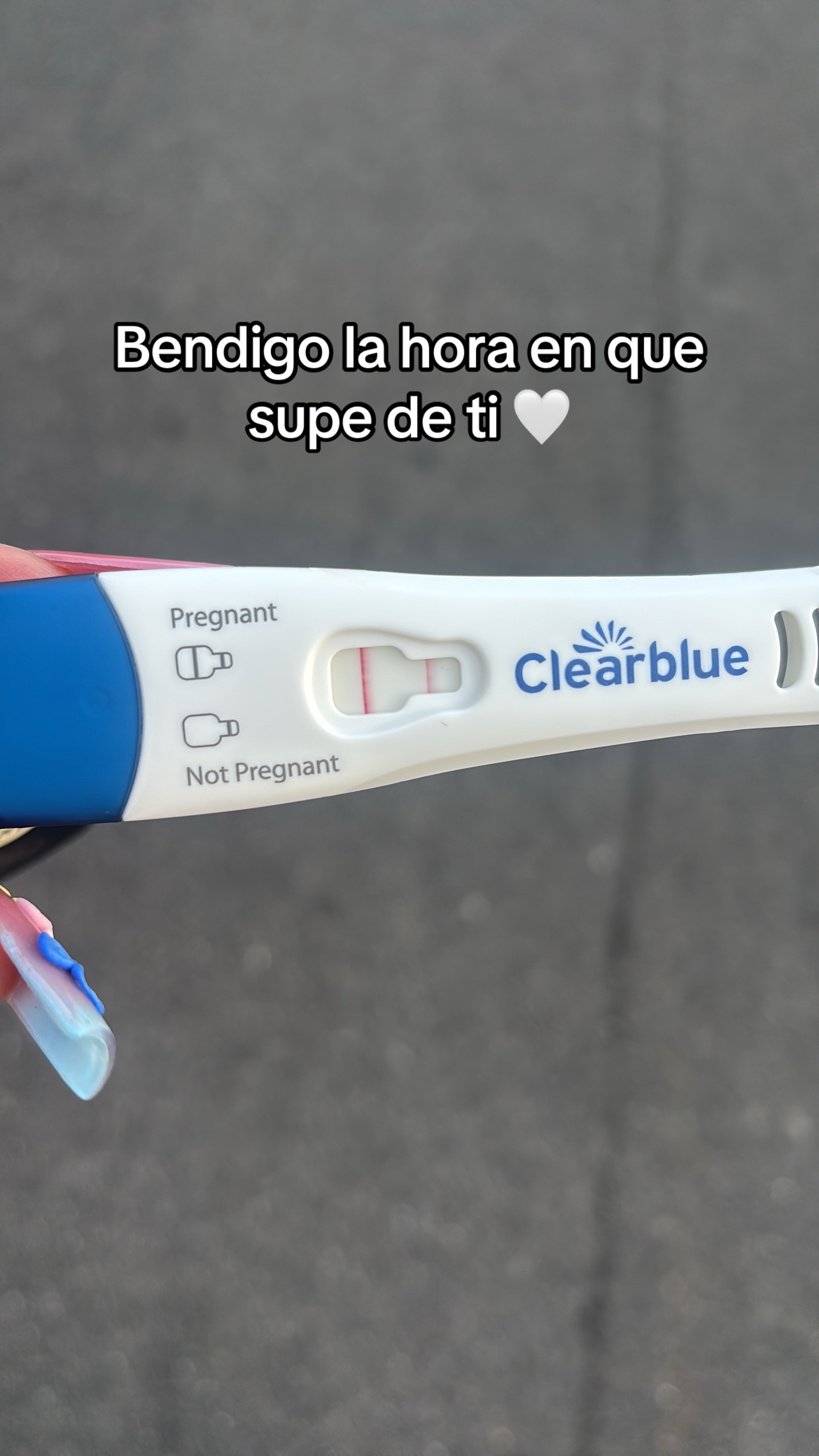 @lagochita.sc