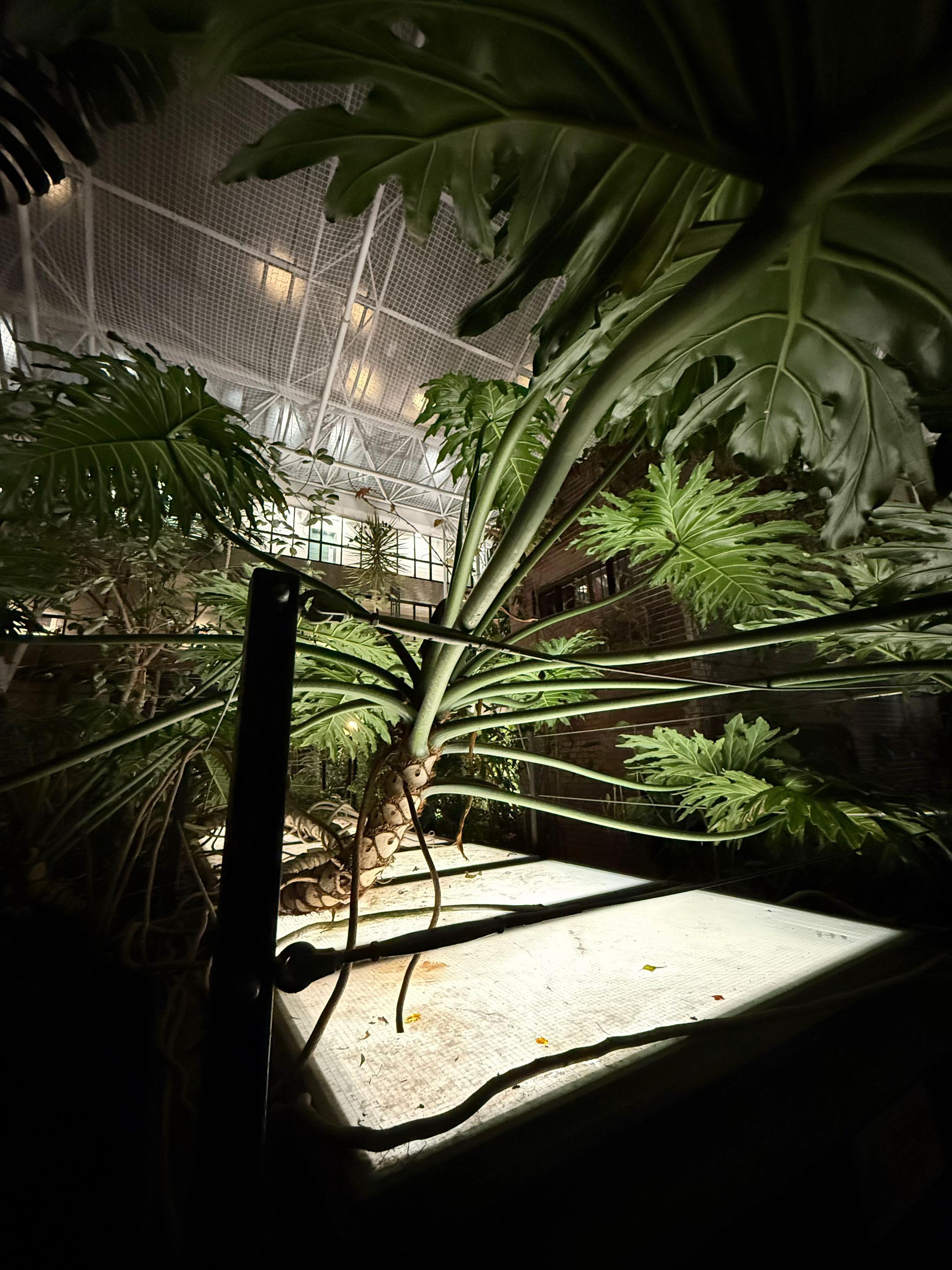 @plantsbythere