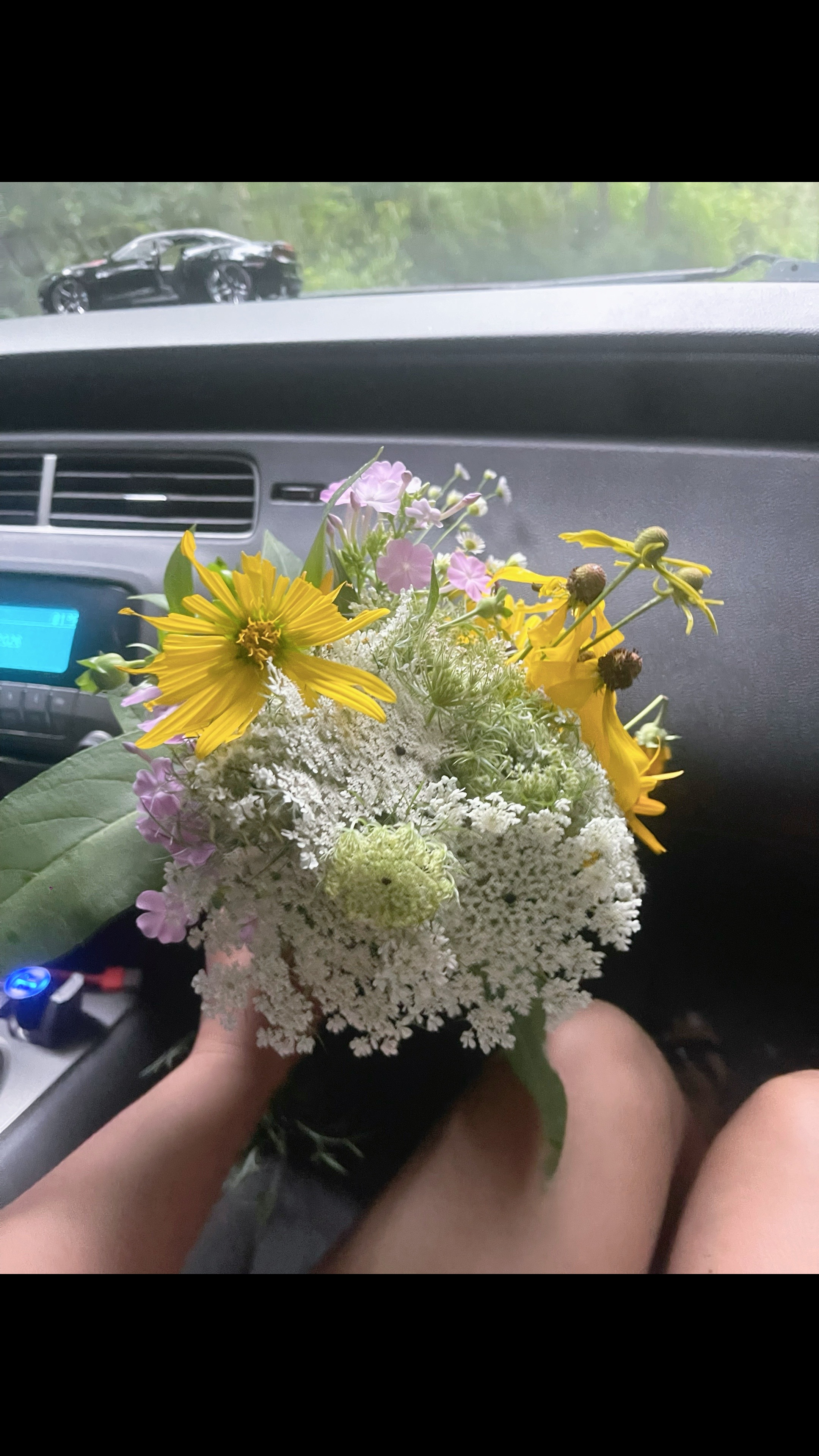 @Clara Hern&aacute;ndez 🚶🏻&zwj;♀️&zwj;➡️🥀
