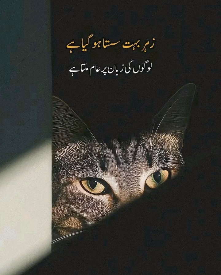 @Jannat Fatima Official