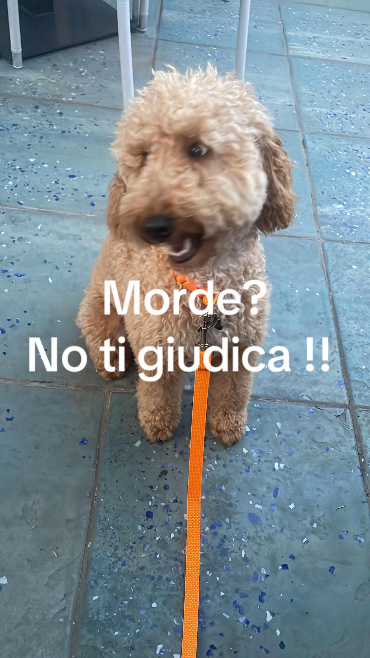@Federica