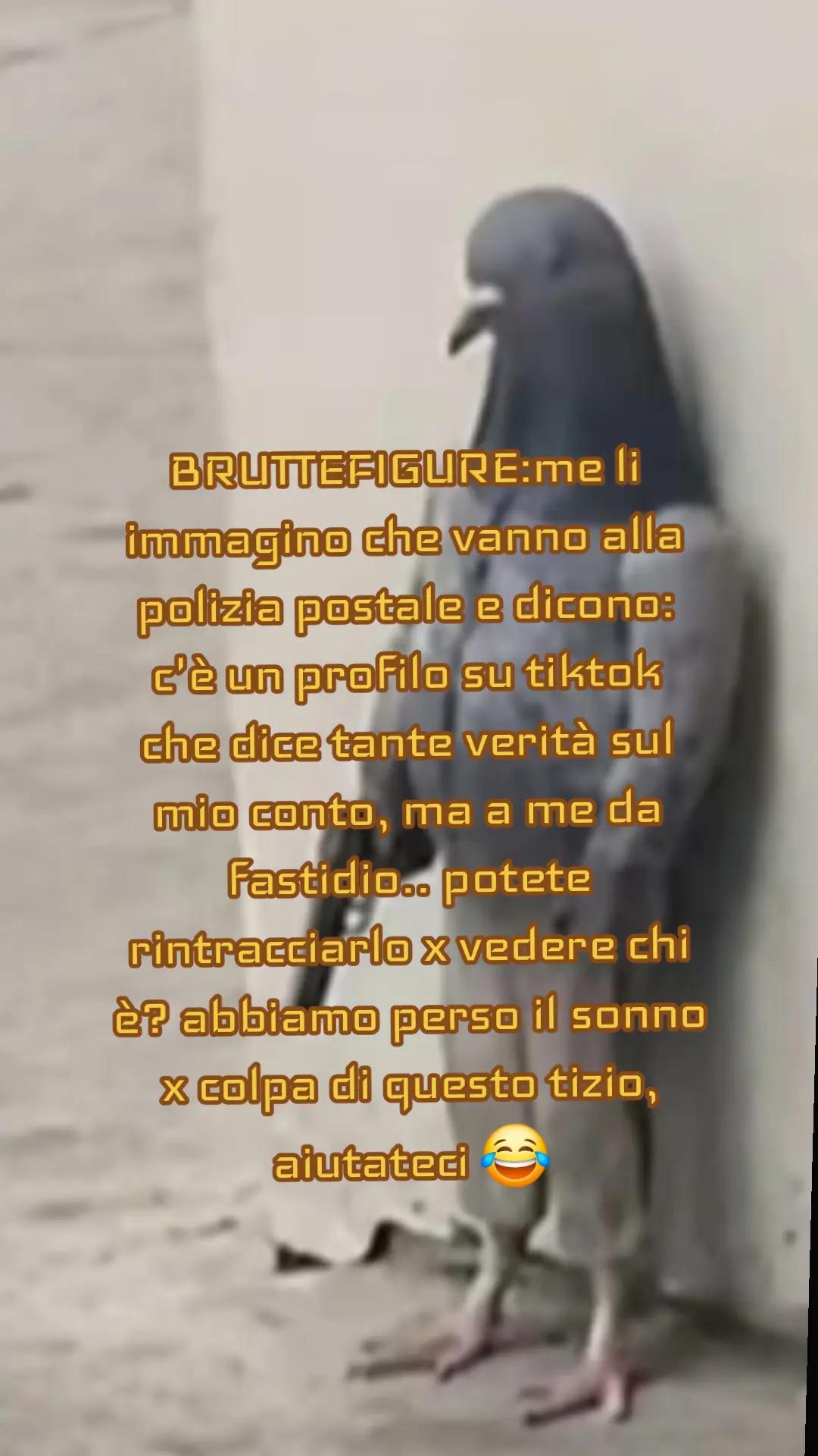 @BRUTTE_FIGURE