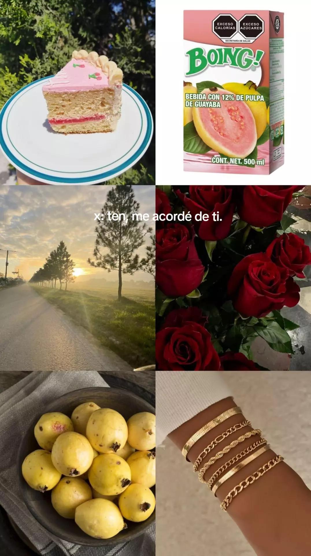 @𝐿𝒾𝓁𝓍𝓈𝒽𝒶𝓇_