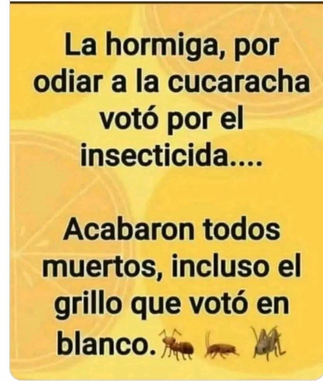 @Tiberio 🐝 🐈