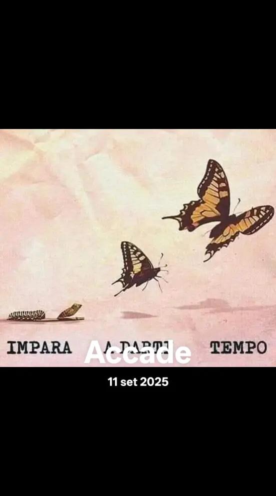 @Paola Di Caprio