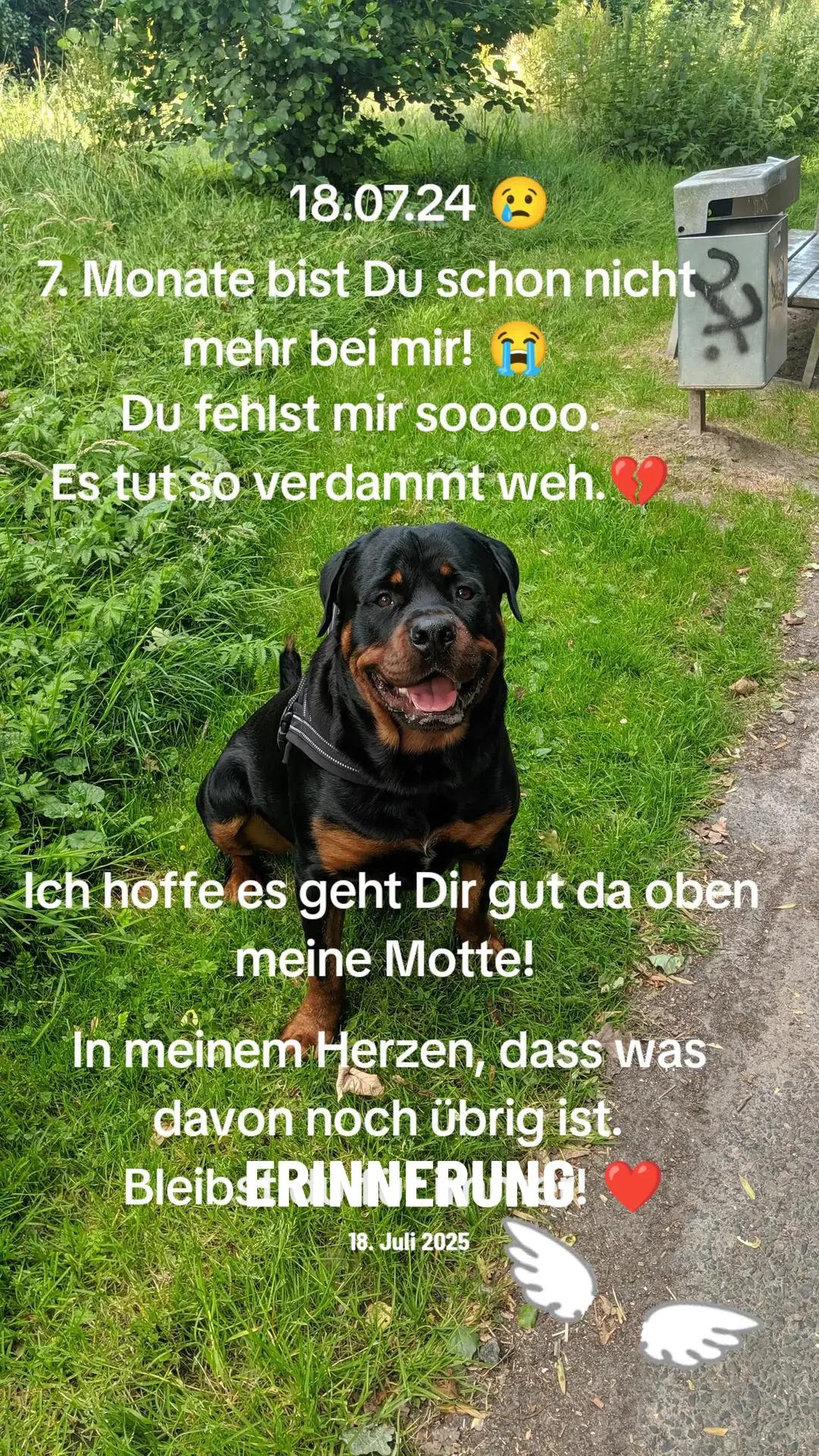 @Nicole❤️Schröder🖤Kowalski ❤️