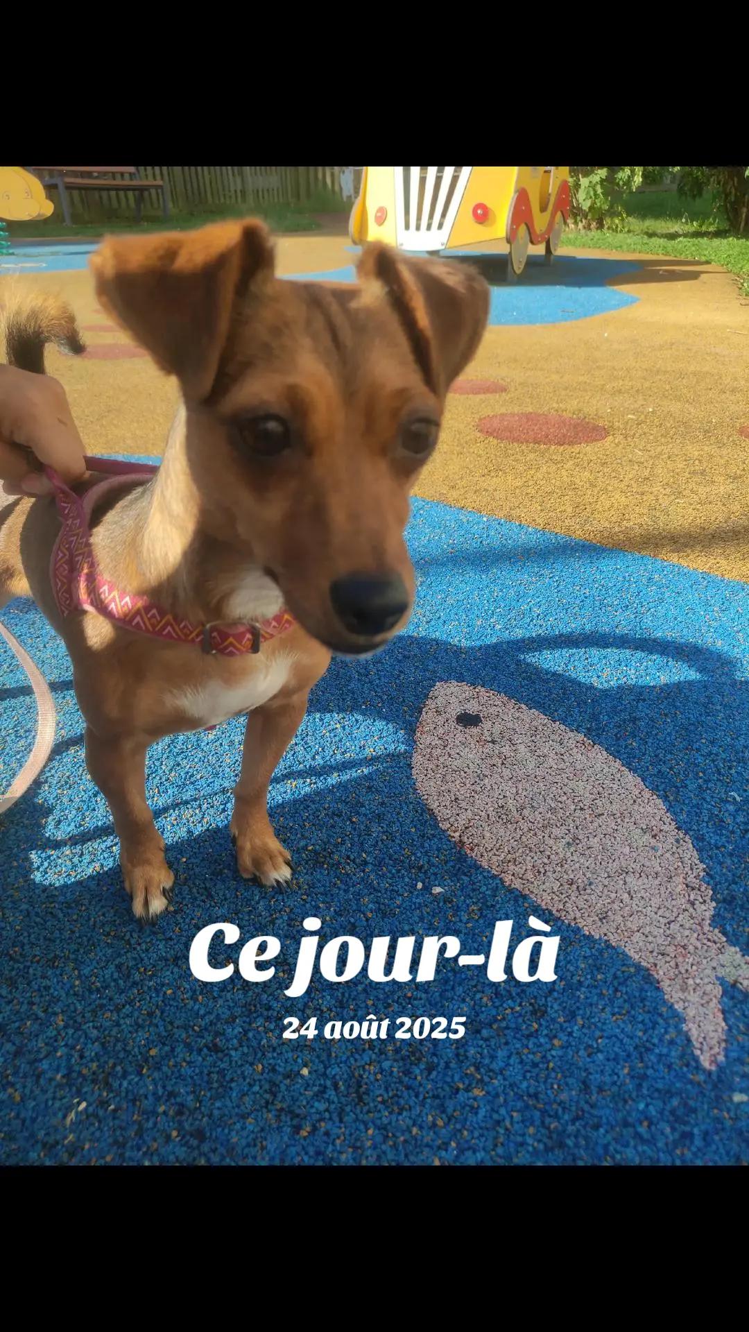 @Oceane Pierrot