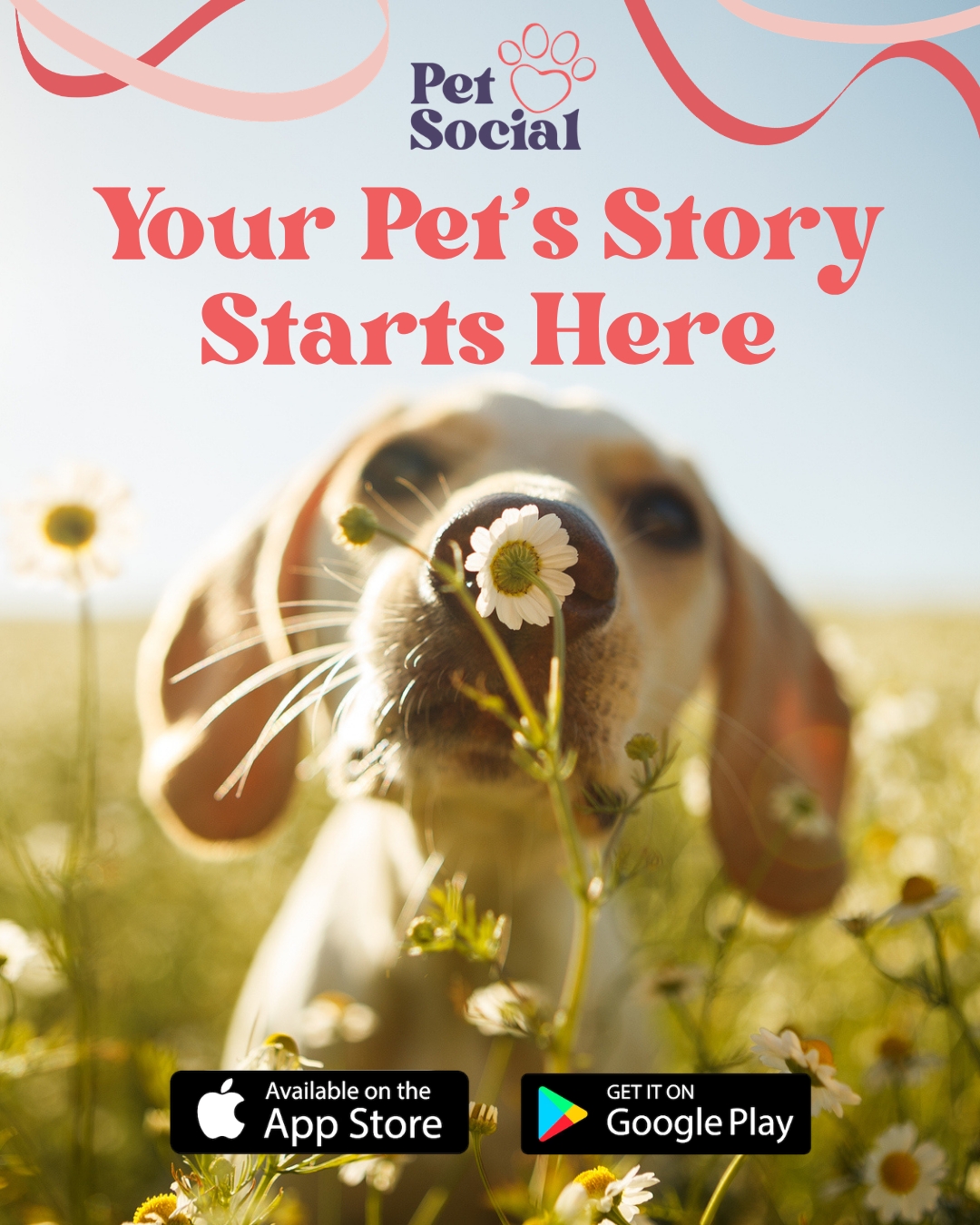 @Pet Social UK
