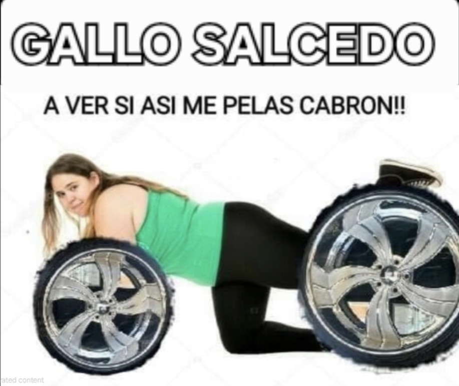 @EL Gallo Salcedo🇲🇽