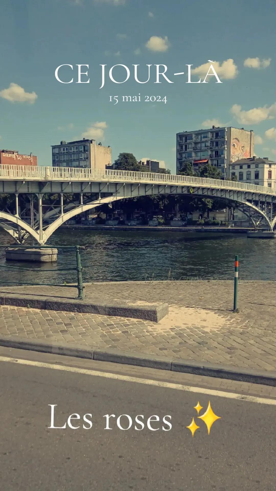 @La blondinette folle ❤️⭐️🤡