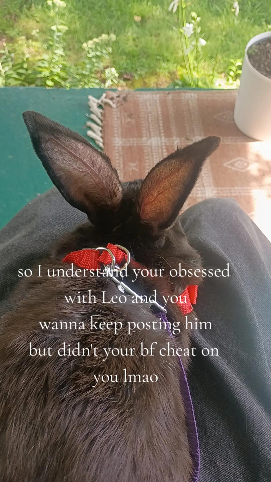 @𓃾🂱ʊ𝐄𝐙𝐑𝐀ʊ🂱𓃾