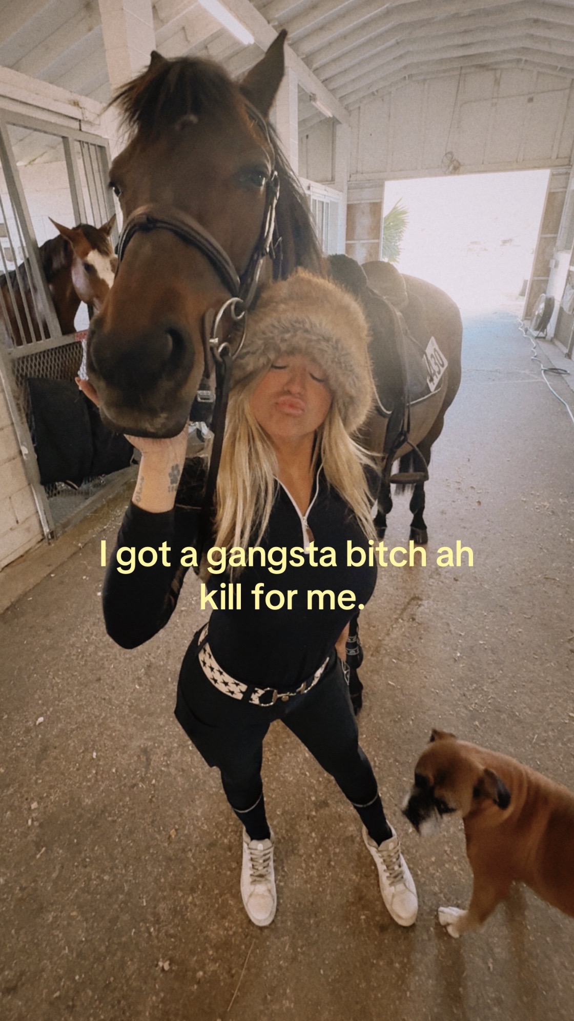 @🐆