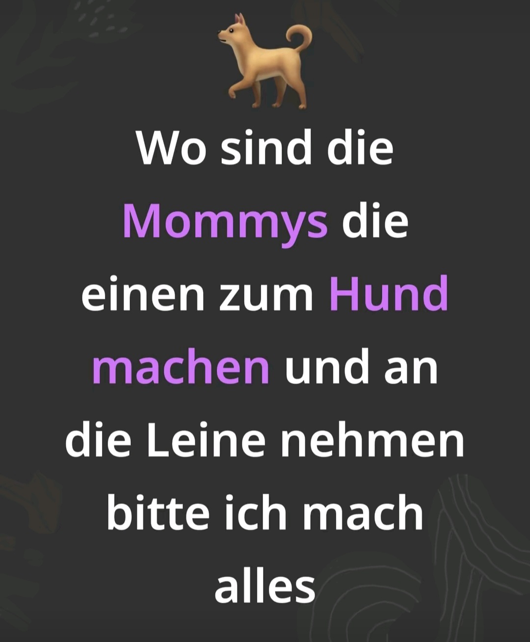 @Belle für jedes Girl 🤤🙇♂️