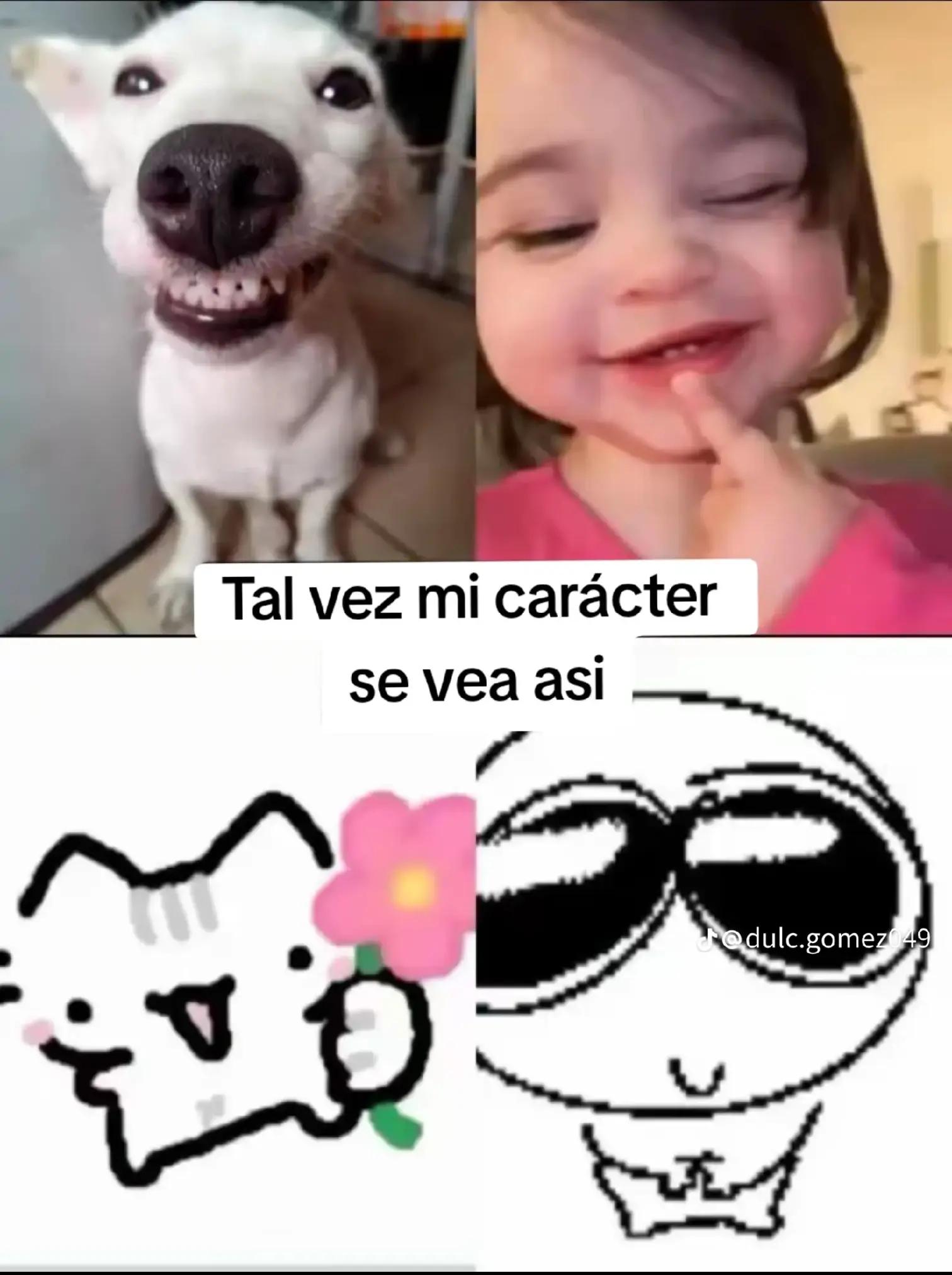 @alexander542710